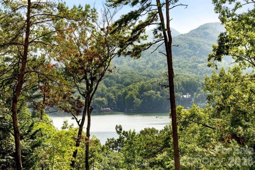 131 Pier Point Drive — Lake Lure