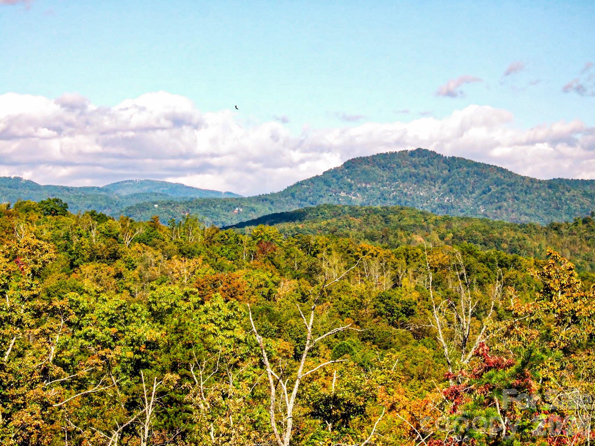 111 Arabesque Way — Lake Lure