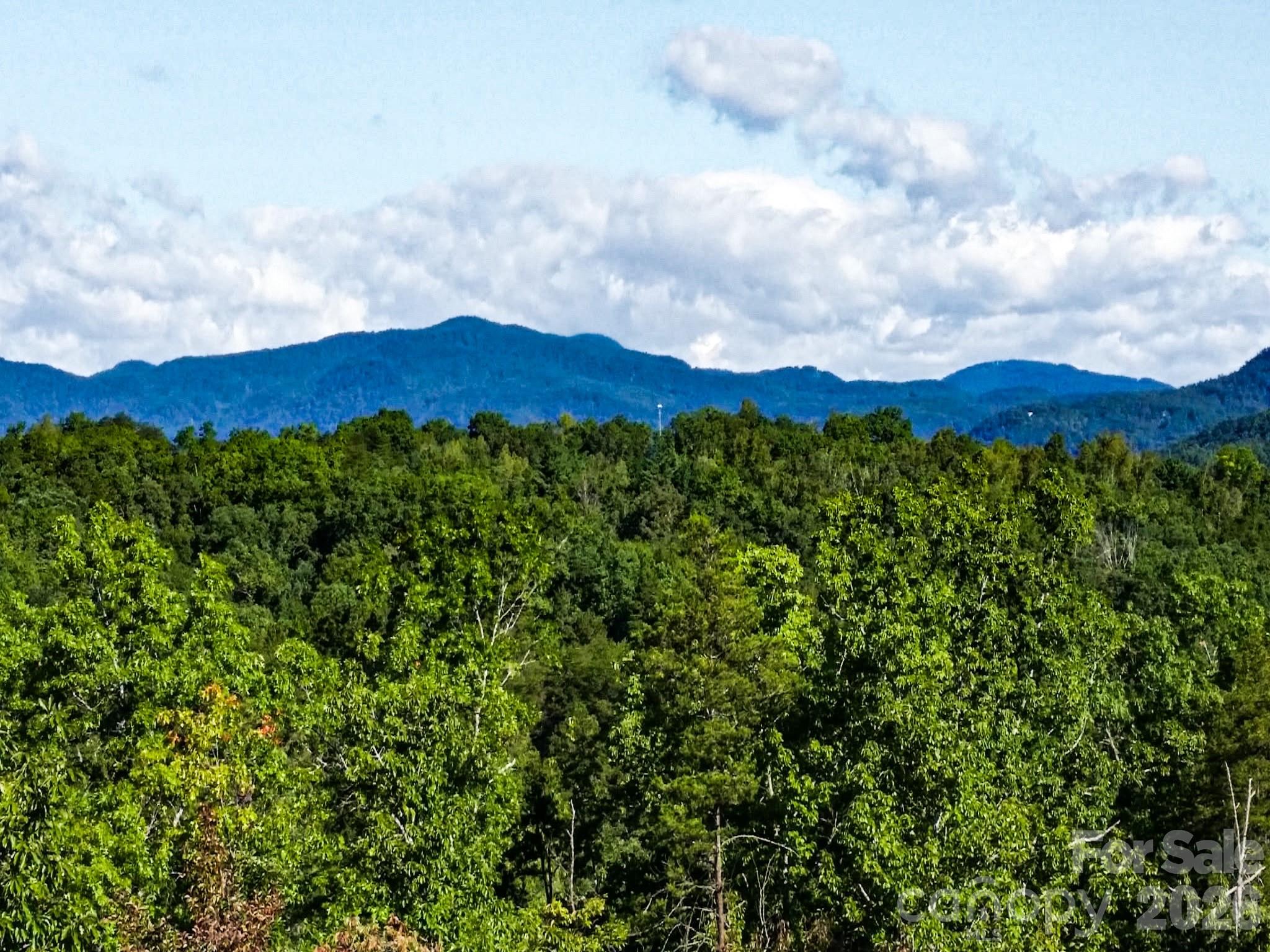 111 Arabesque Way — Lake Lure