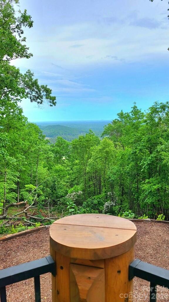 153 Chetan Way — Lake Lure