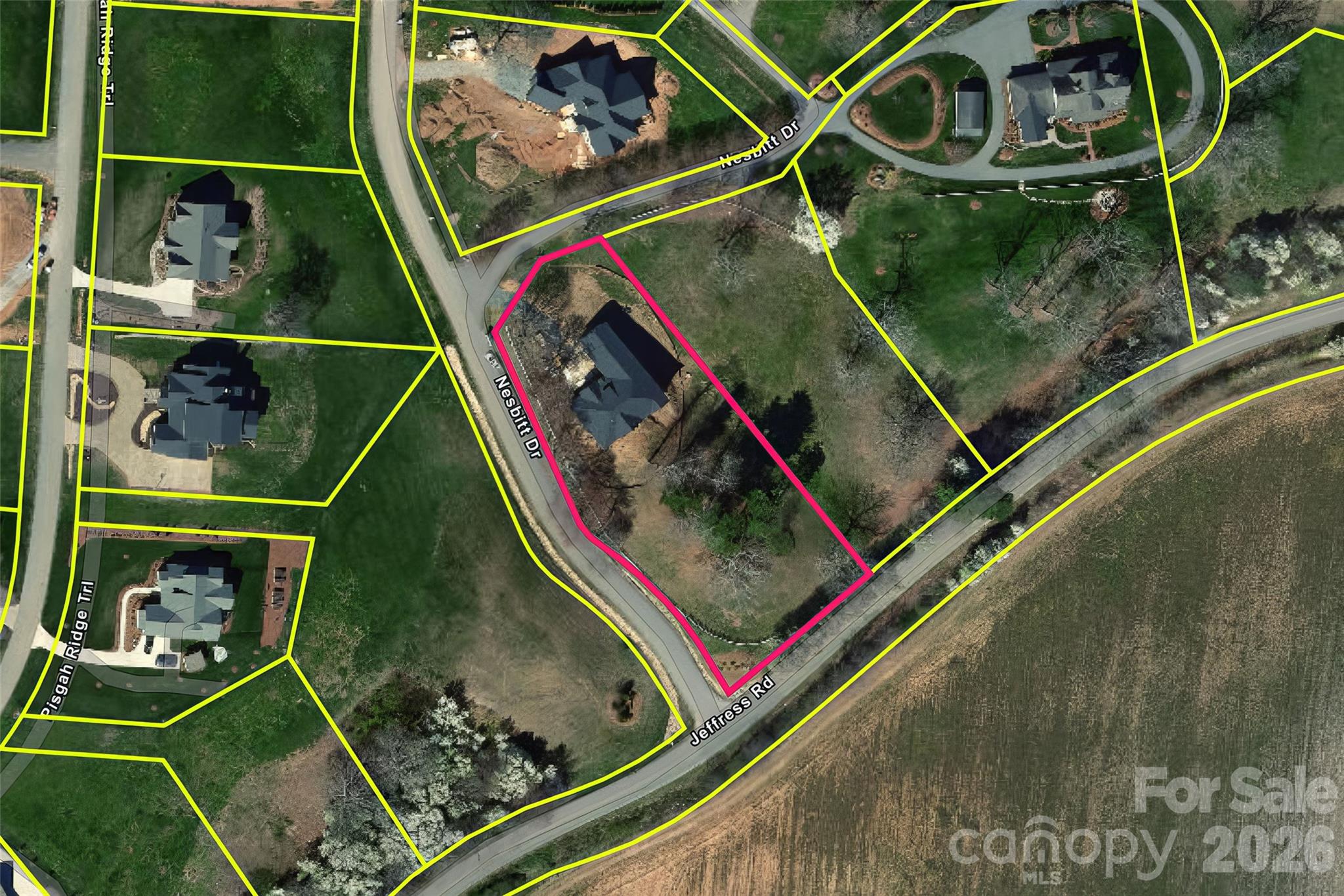 503 Nesbitt Drive — Mills River