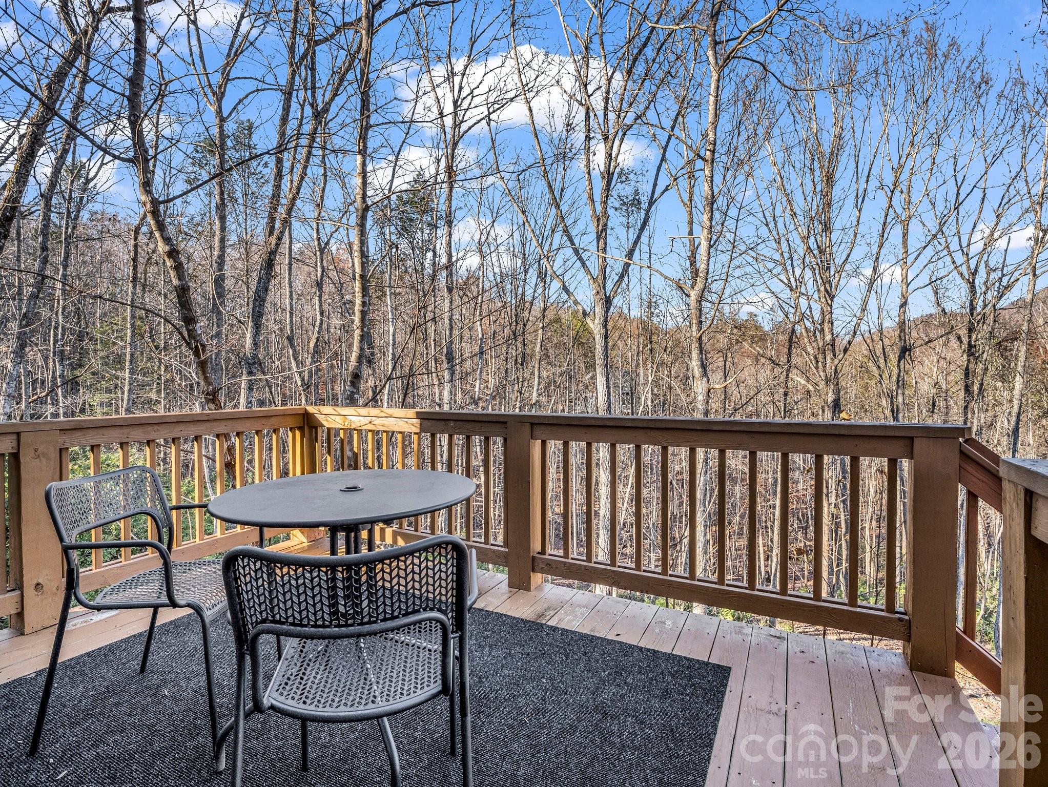 178 Flynn Court — Lake Lure