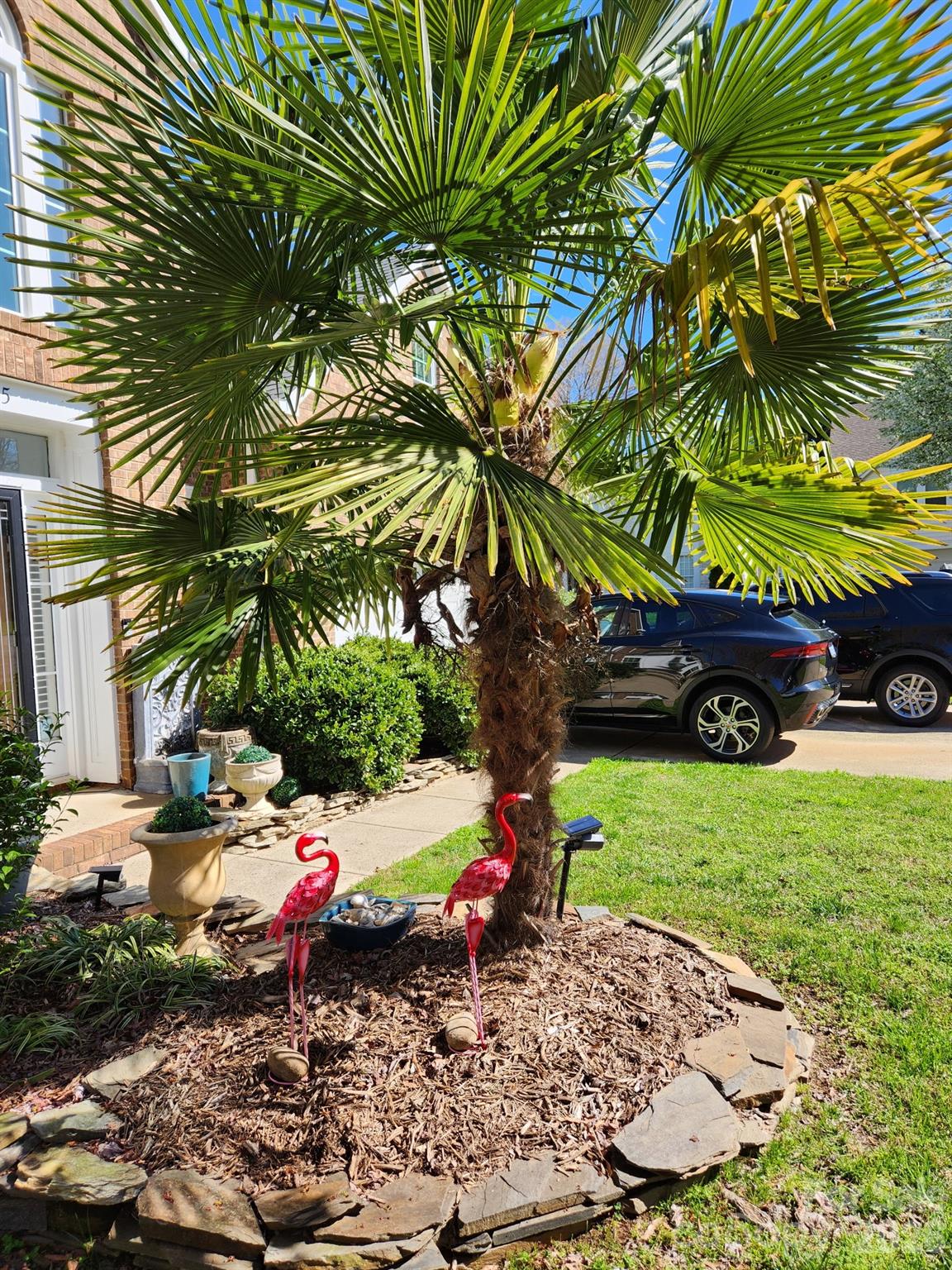 17205 Asti Court — Cornelius