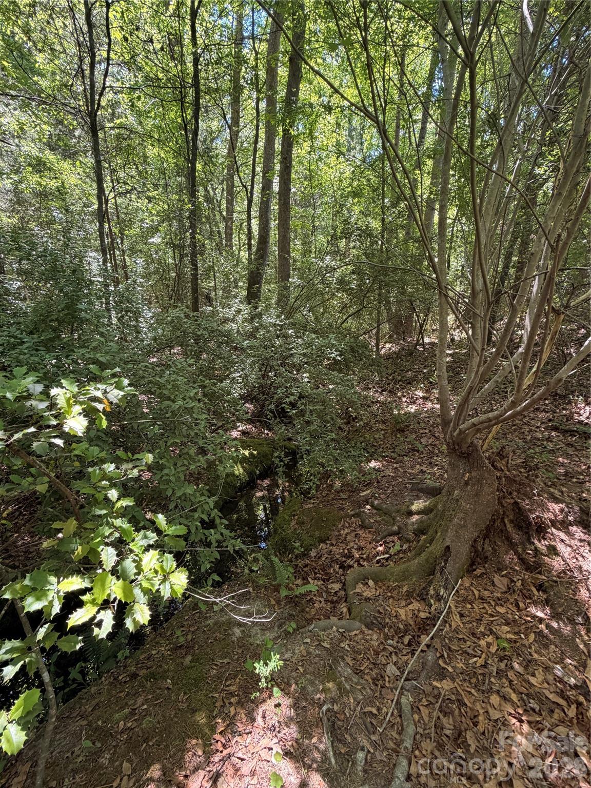213 Stowe Road — Gastonia
