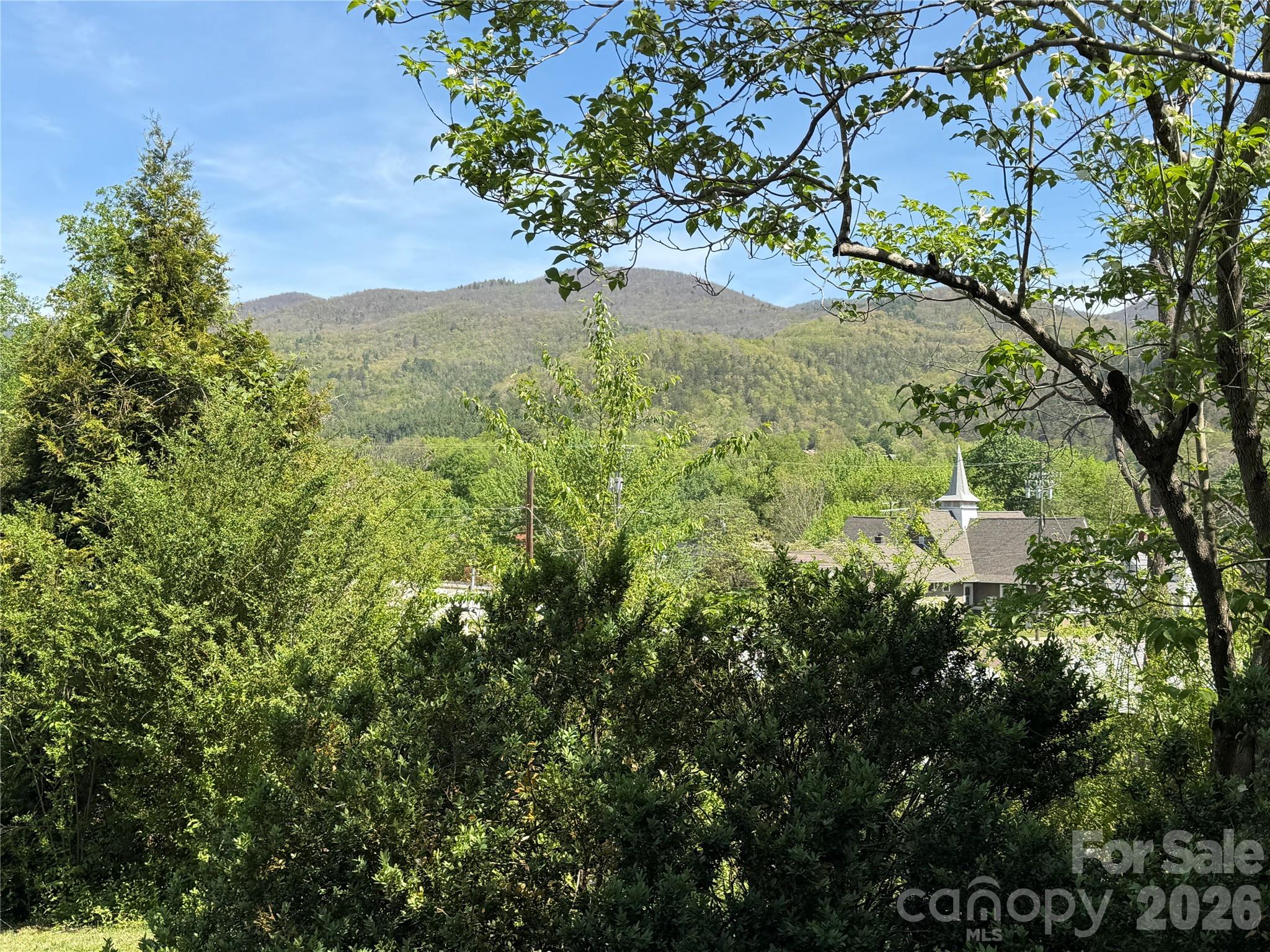 29 Walnut Street — Hot Springs