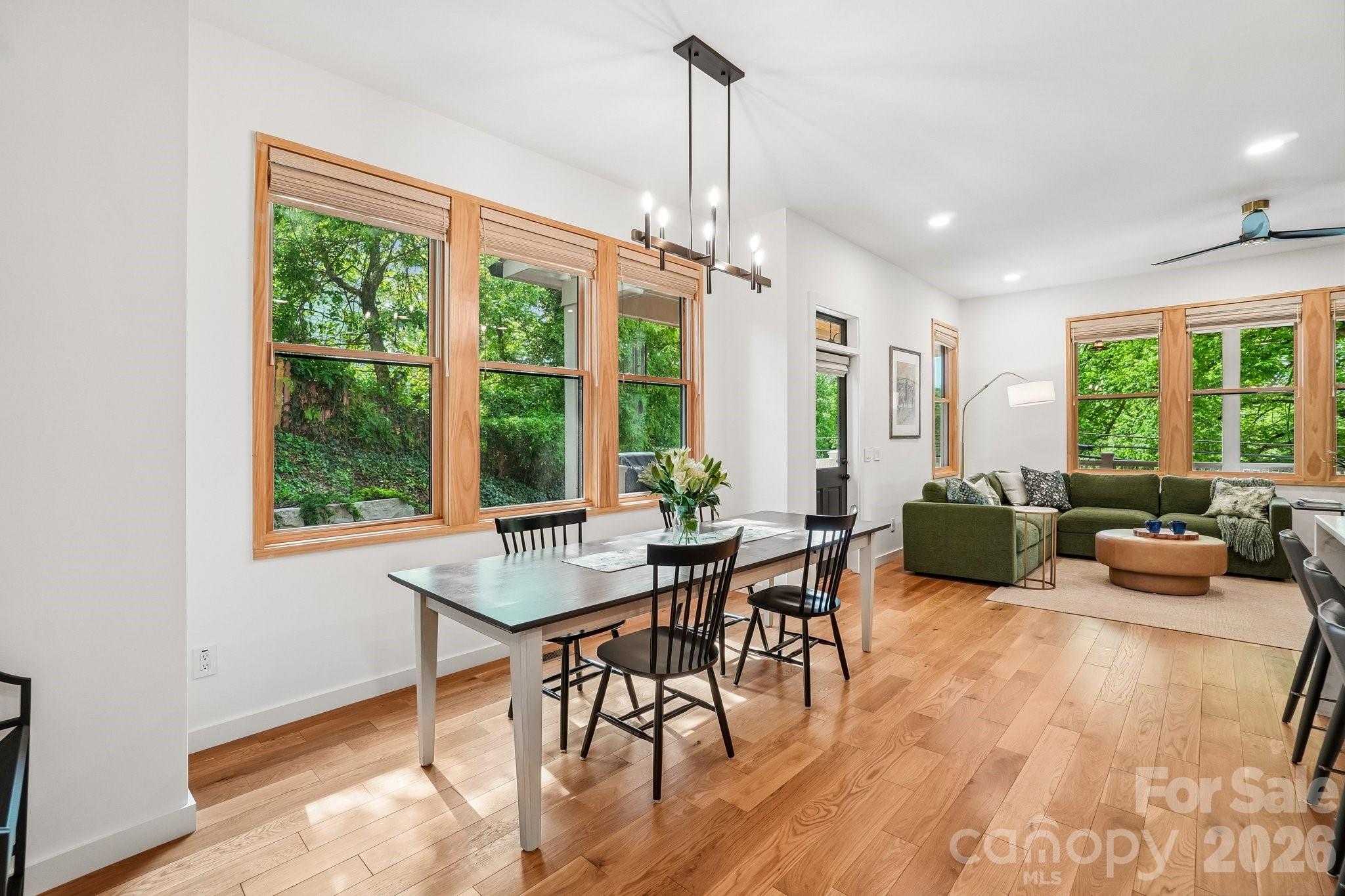 101 Santee Street — Asheville