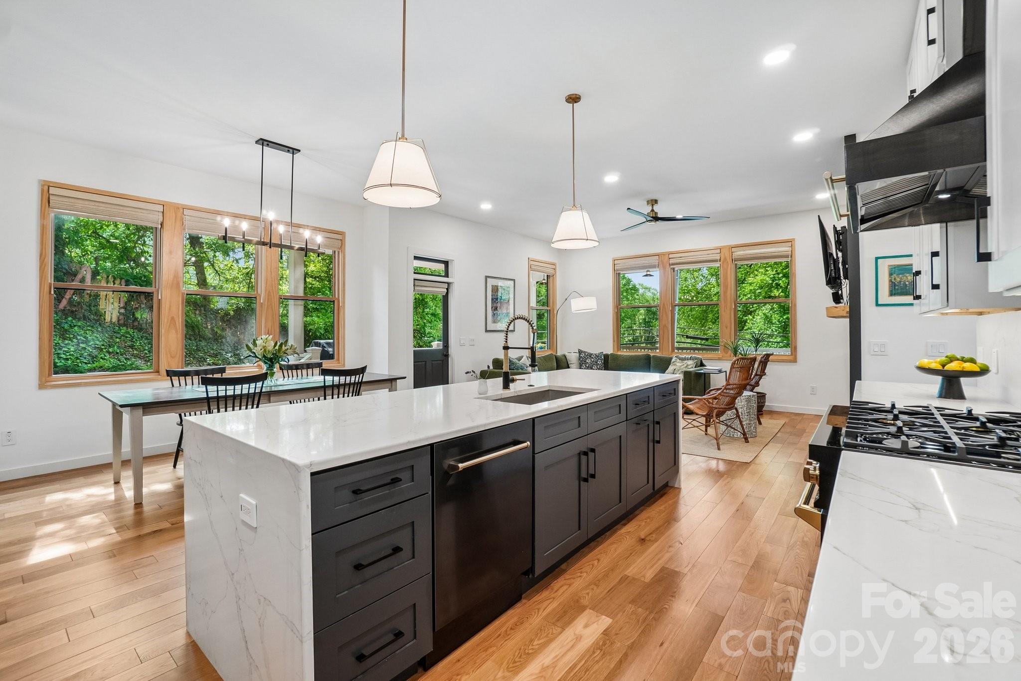 101 Santee Street — Asheville