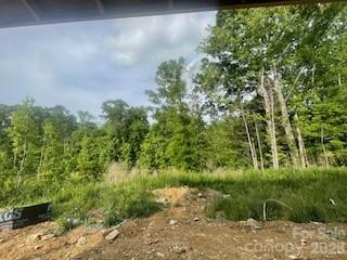 284 Alluvium Lane — Waxhaw