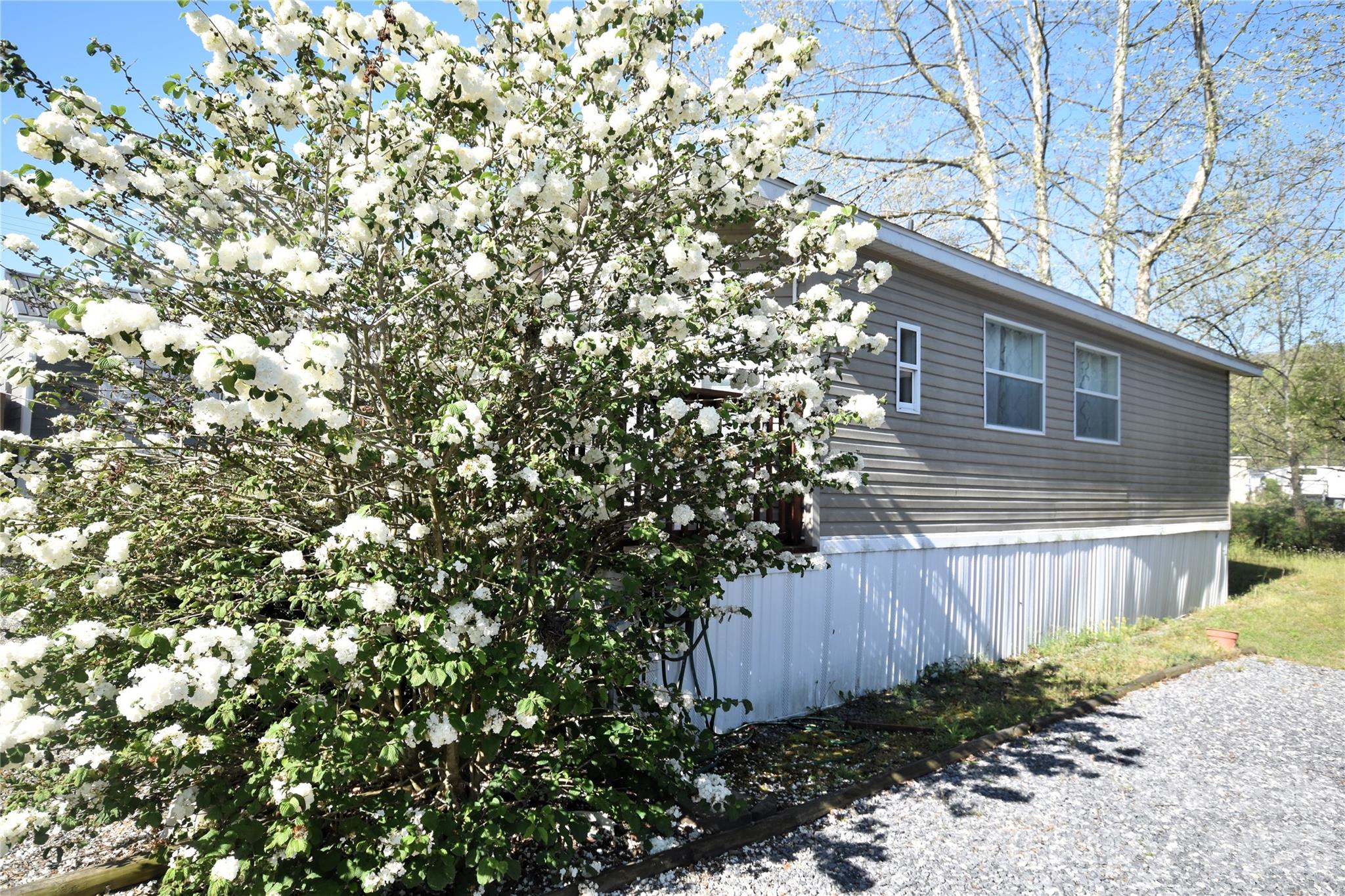 124 Pike Point — Waynesville
