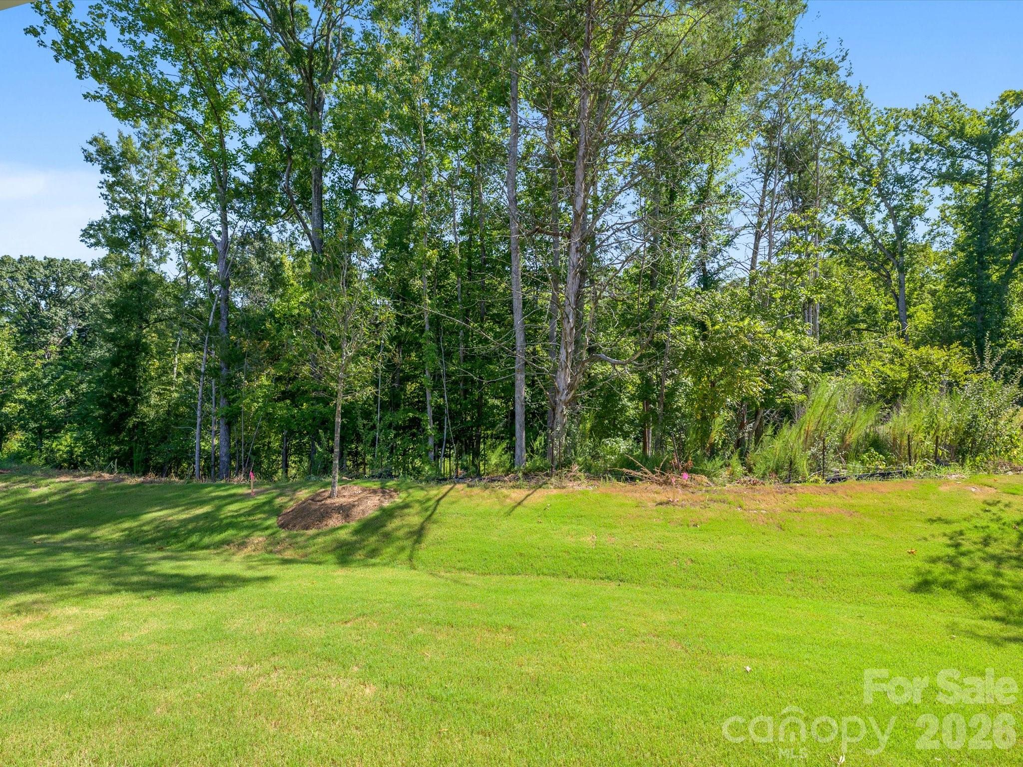 272 Alluvium Lane — Waxhaw