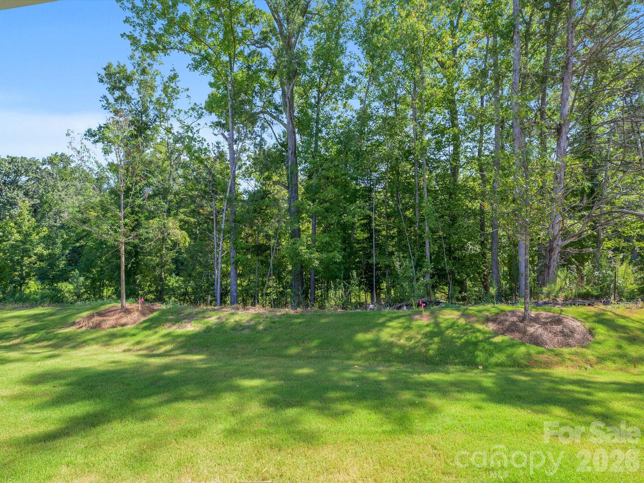 276 Alluvium Lane — Waxhaw