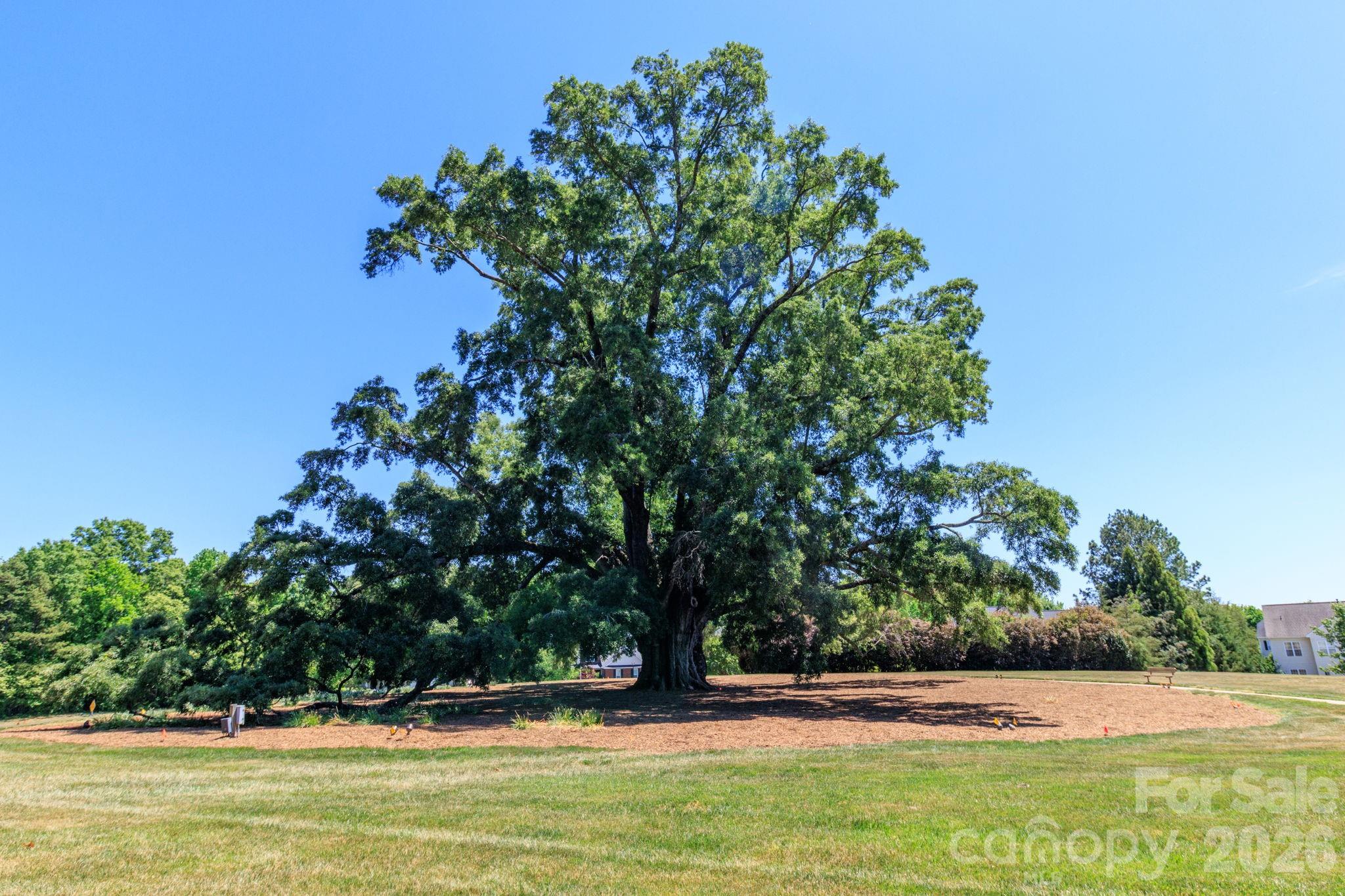 10011 King George Lane — Waxhaw