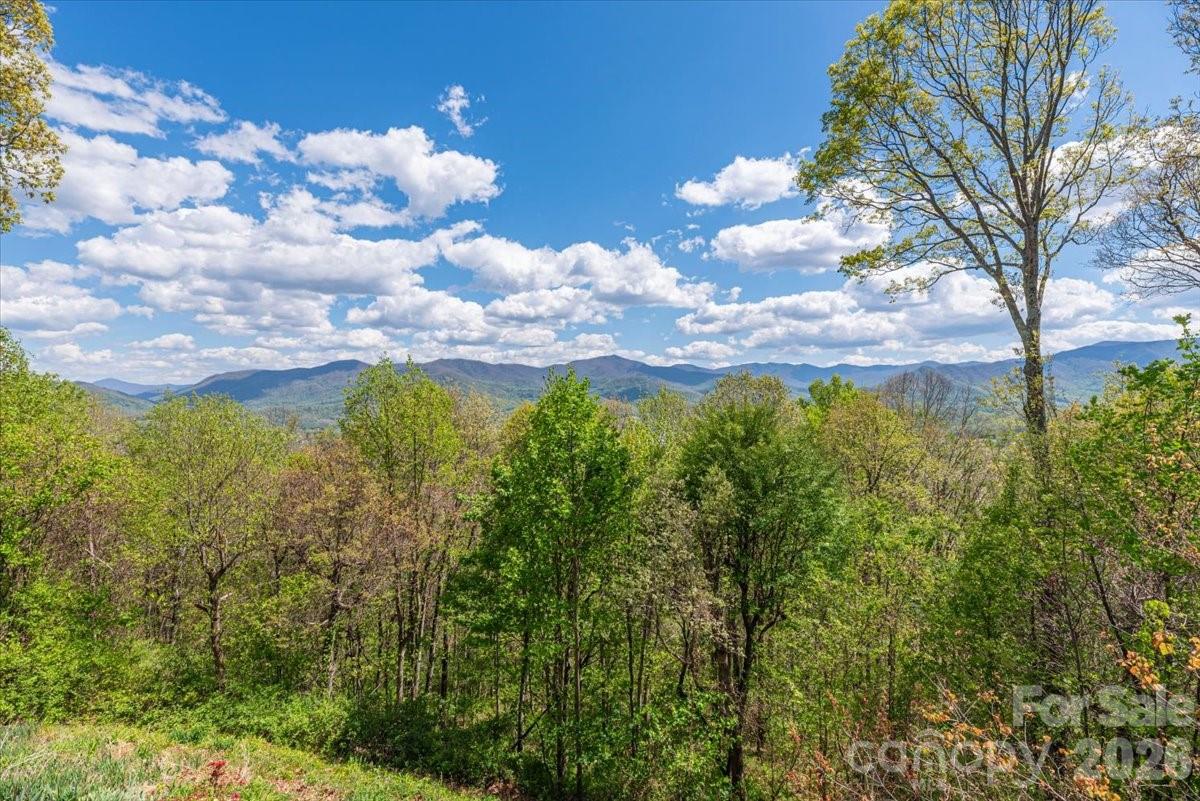 1108 Rocky Knob Road — Waynesville