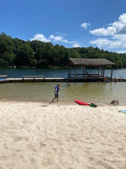 2698 Connestee Trail — Brevard