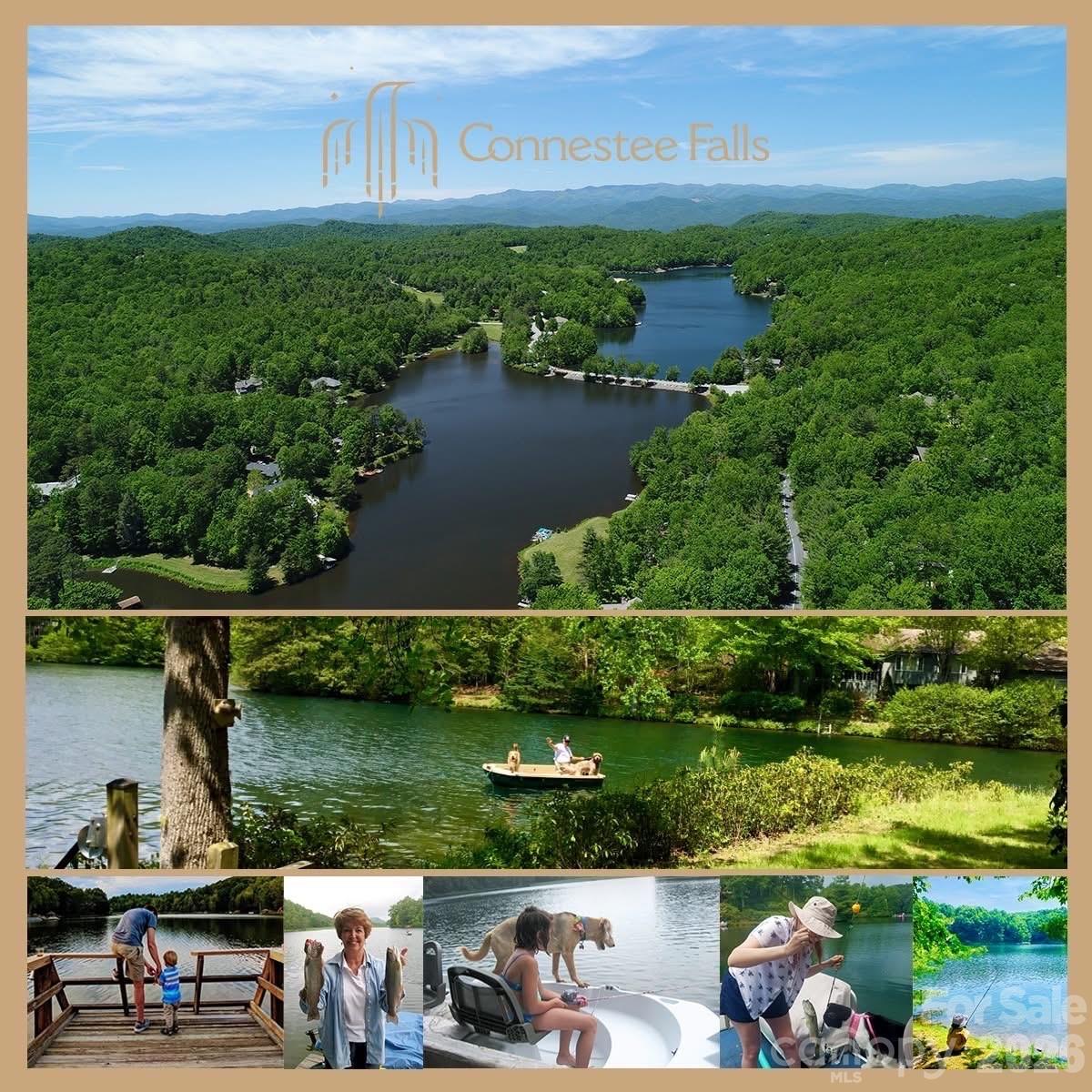2698 Connestee Trail — Brevard