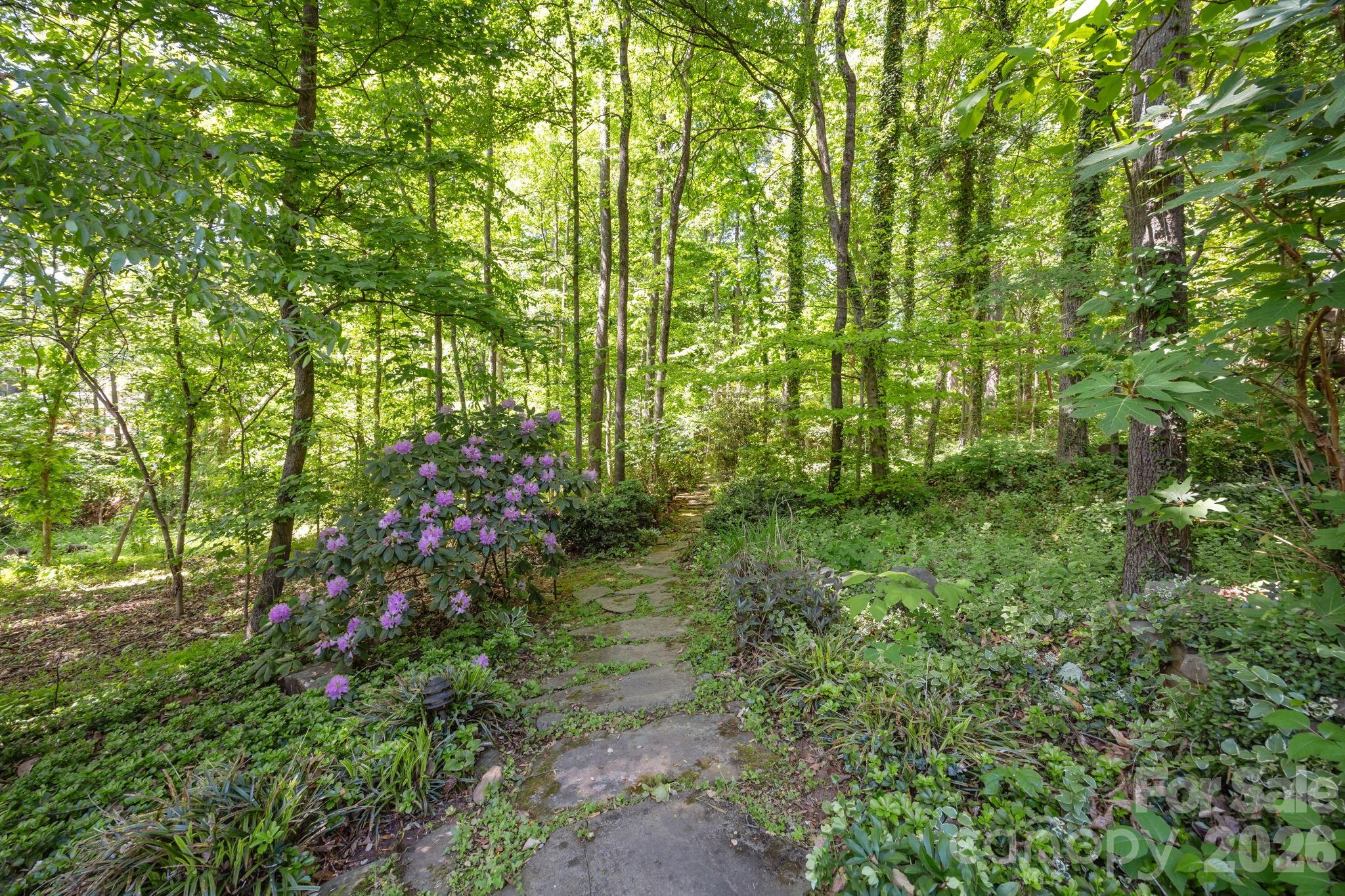 3101 Symphony Woods Drive — Charlotte