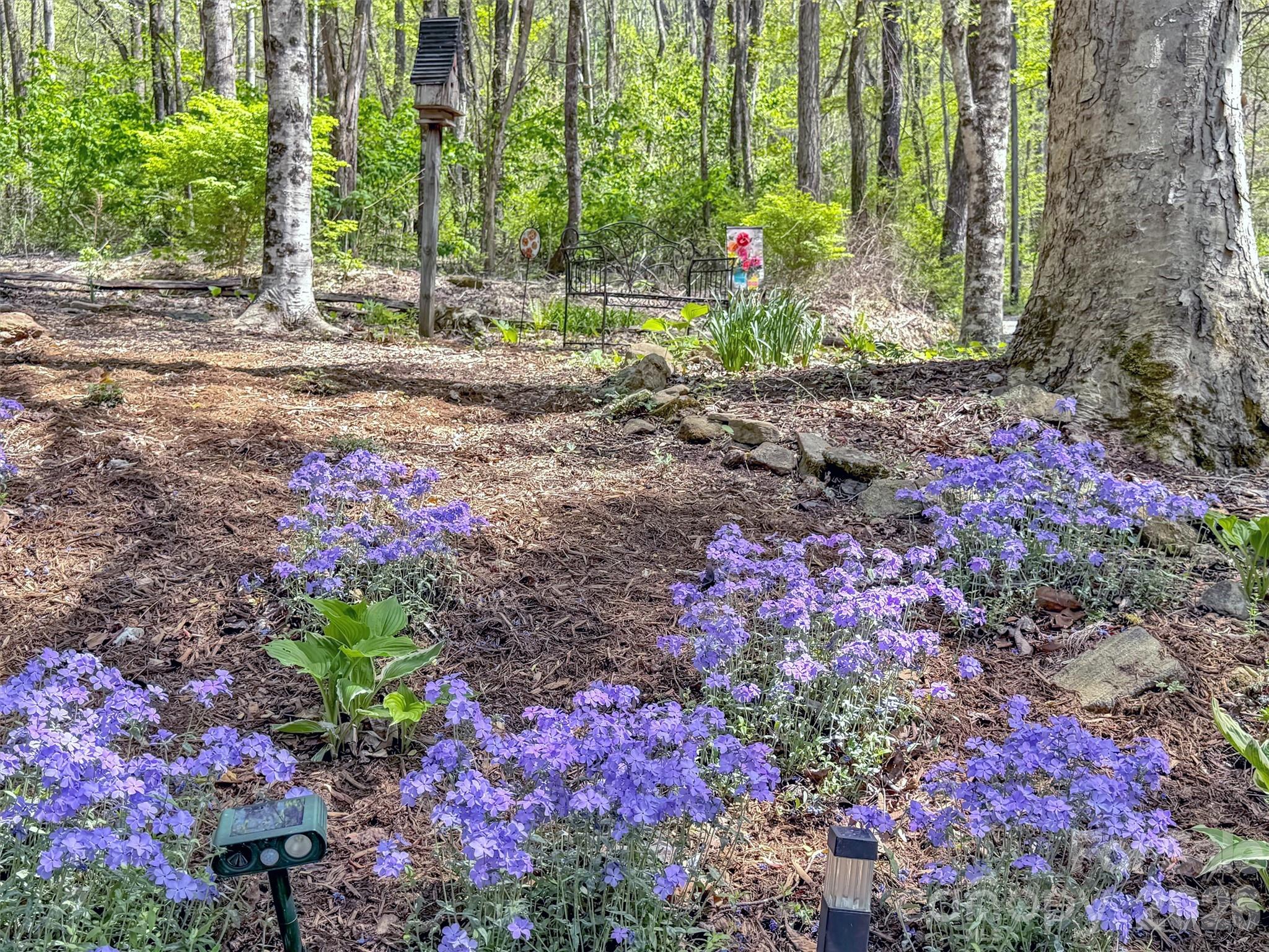 211 Rustic Road — Waynesville