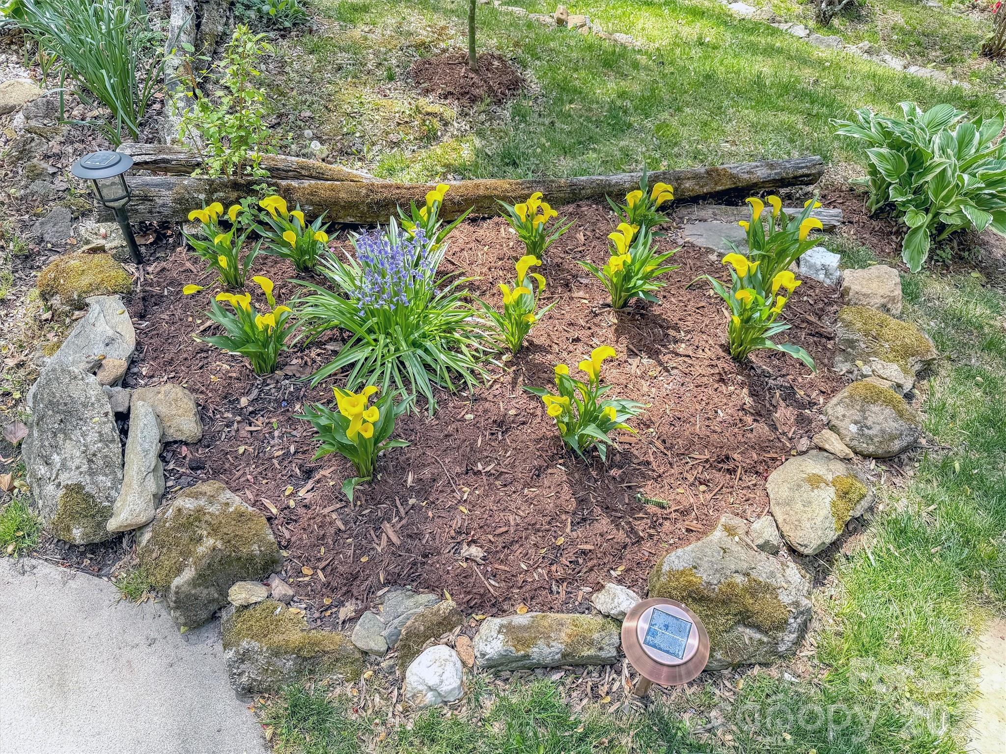 211 Rustic Road — Waynesville