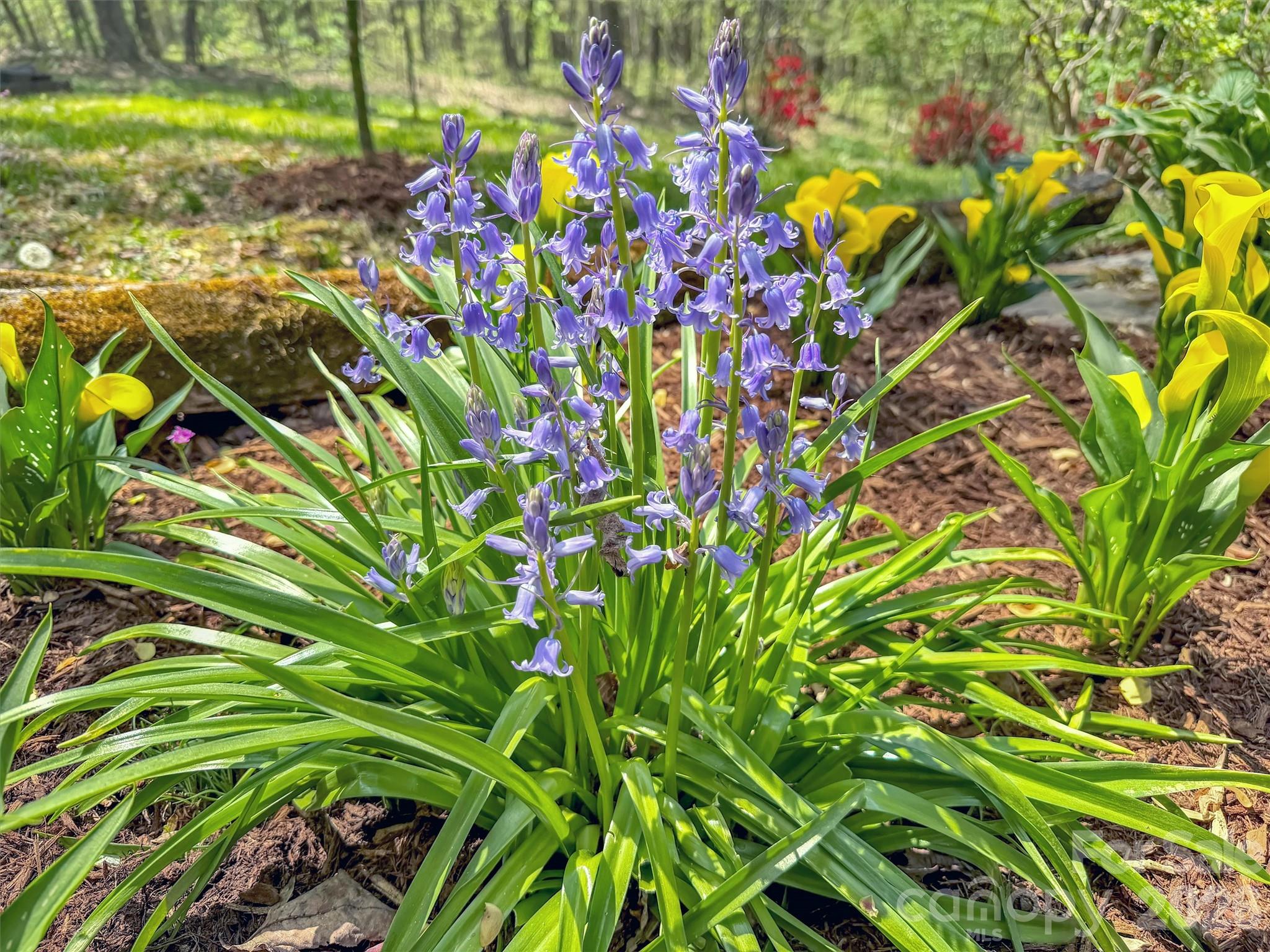 211 Rustic Road — Waynesville