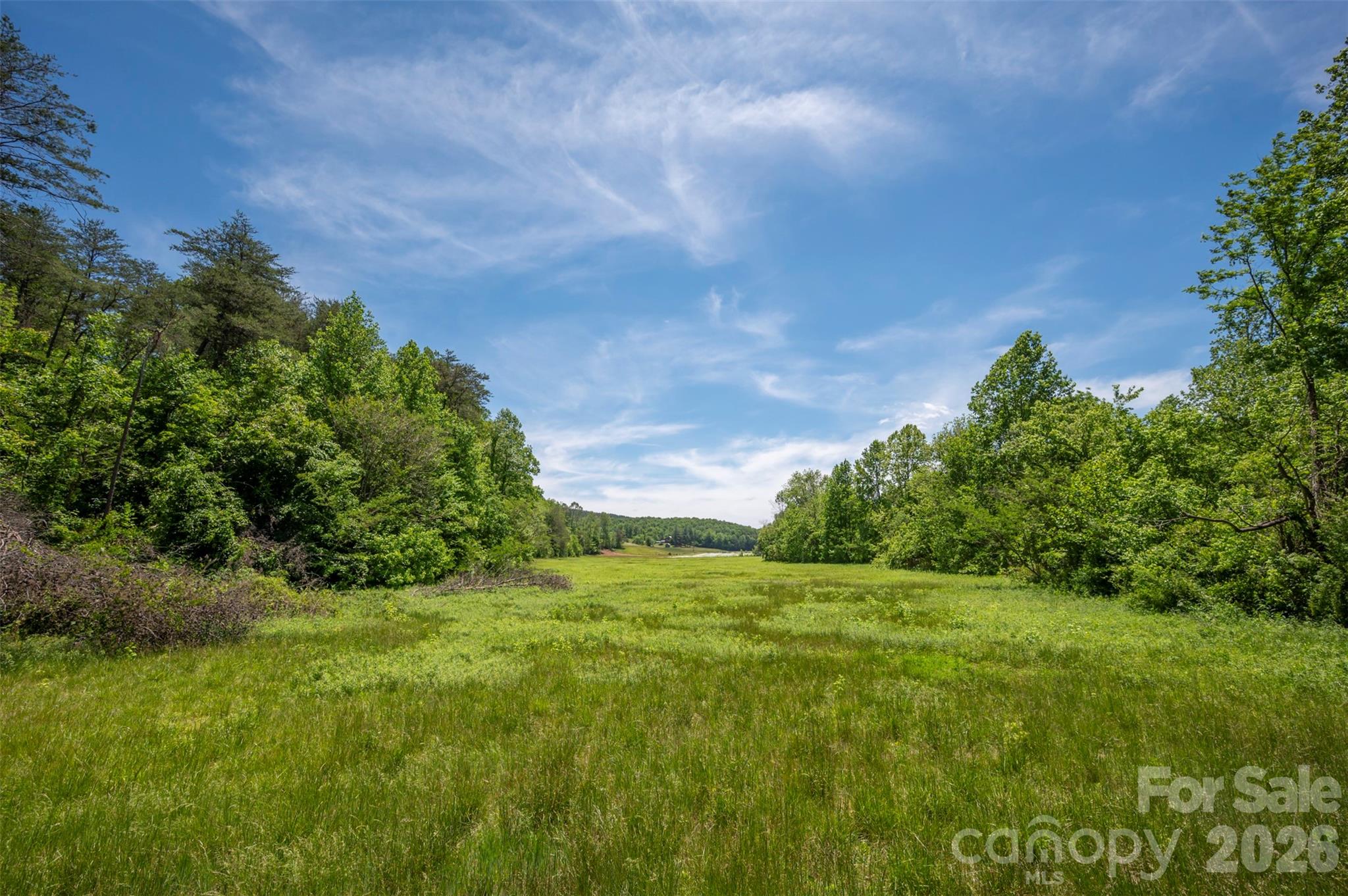226 Big Rock Drive — Rutherfordton