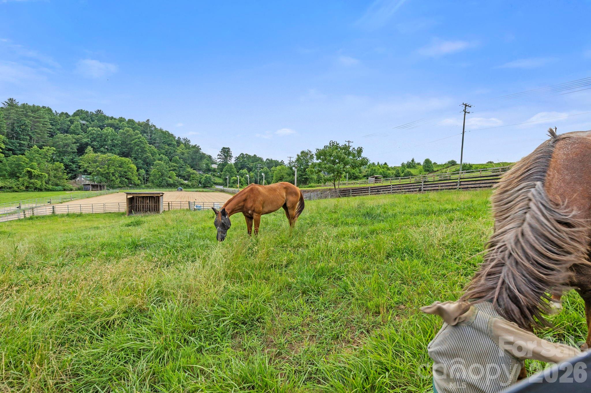 442 Blantyre Church Road — Horse Shoe