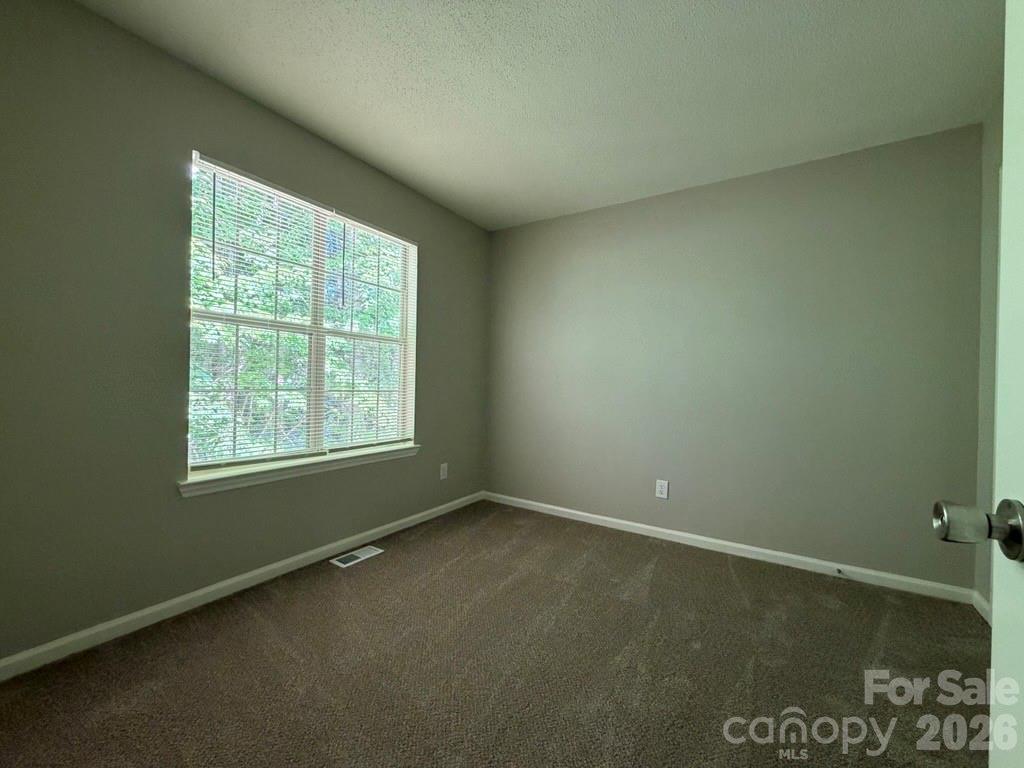 6017 Black Bear Court — Charlotte