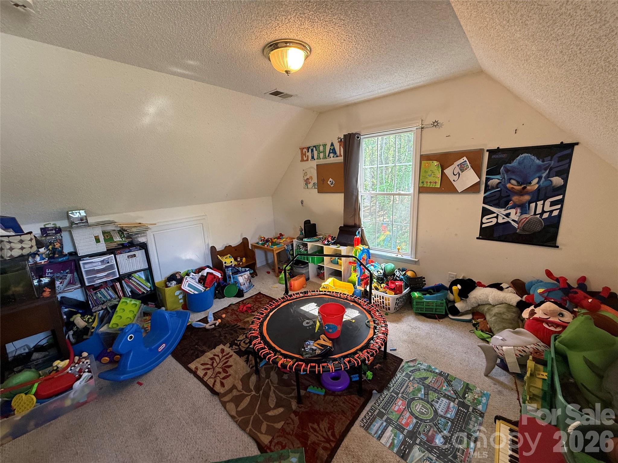 600 Blossom Hill Road — Lincolnton