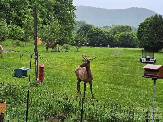 96 Garden Court — Maggie Valley