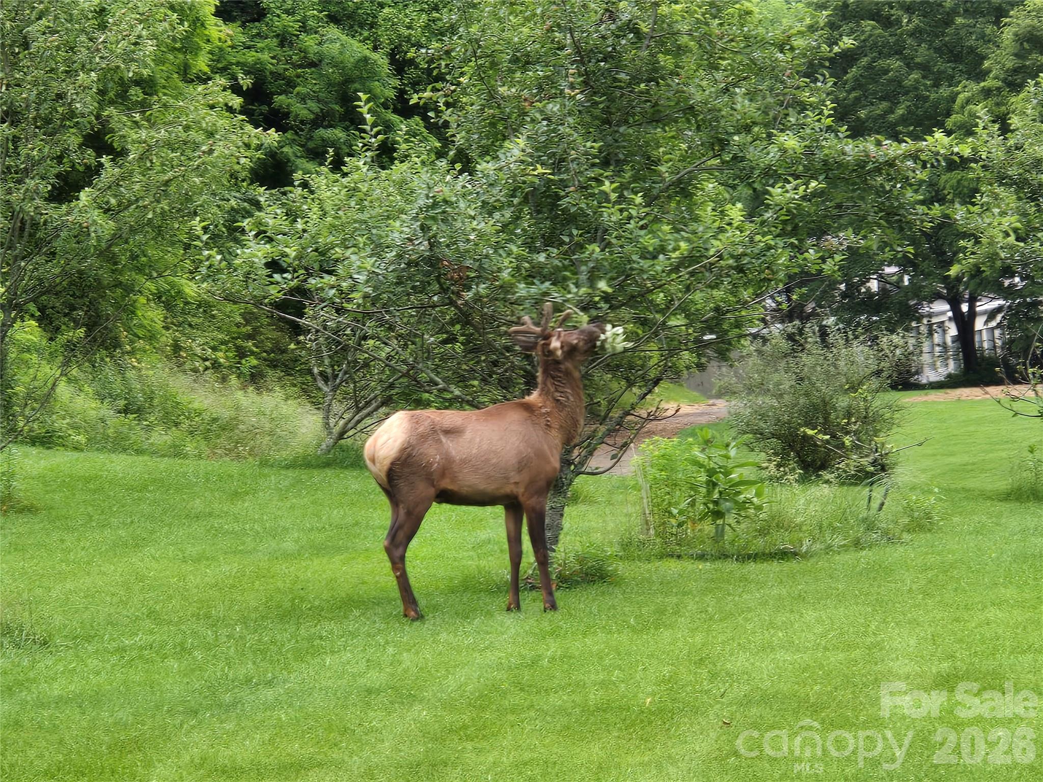 96 Garden Court — Maggie Valley
