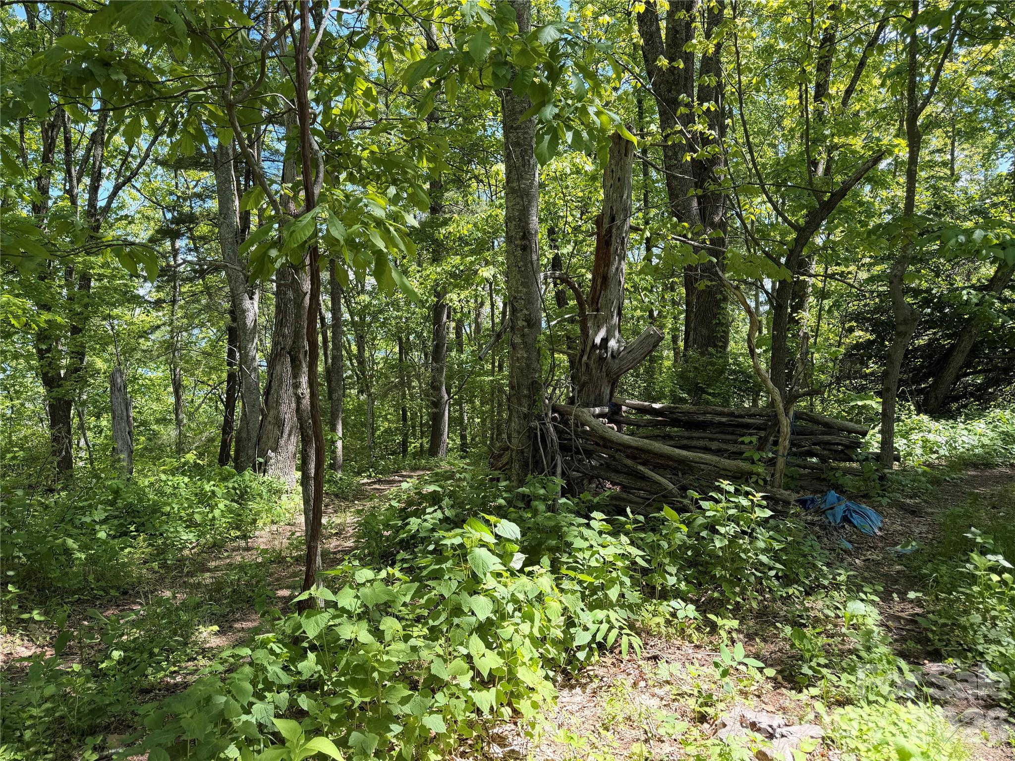 24 Smokey Road — Asheville