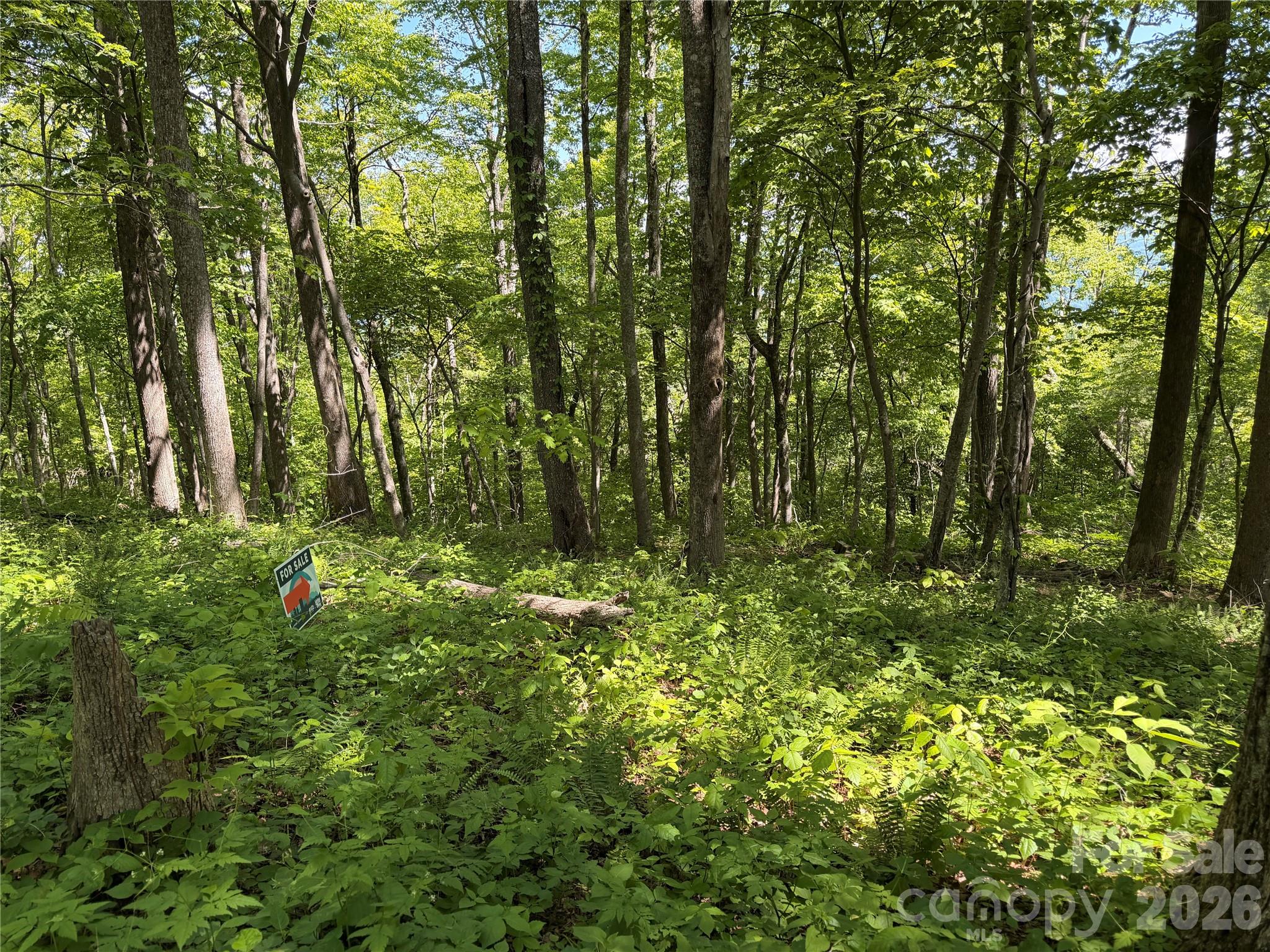 24 Smokey Road — Asheville