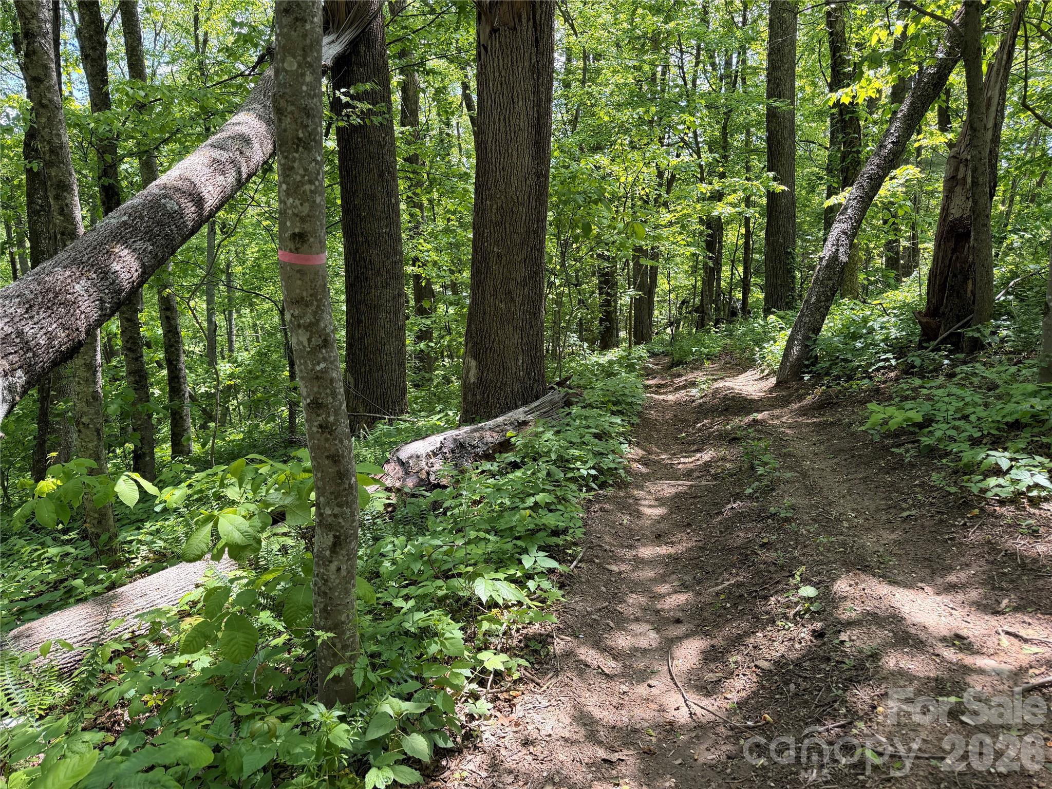 24 Smokey Road — Asheville