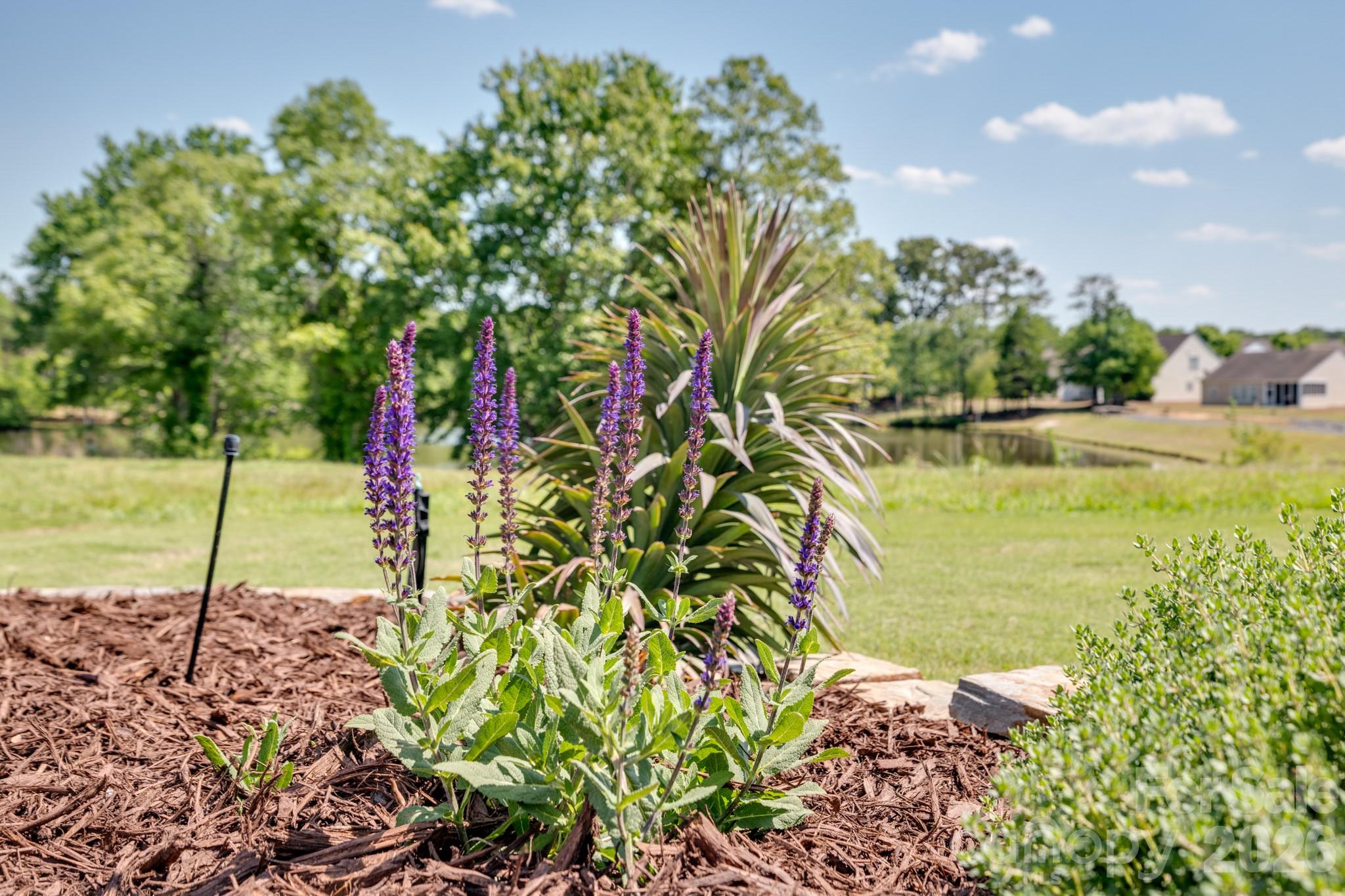 3096 Ambleside Drive — Fort Mill