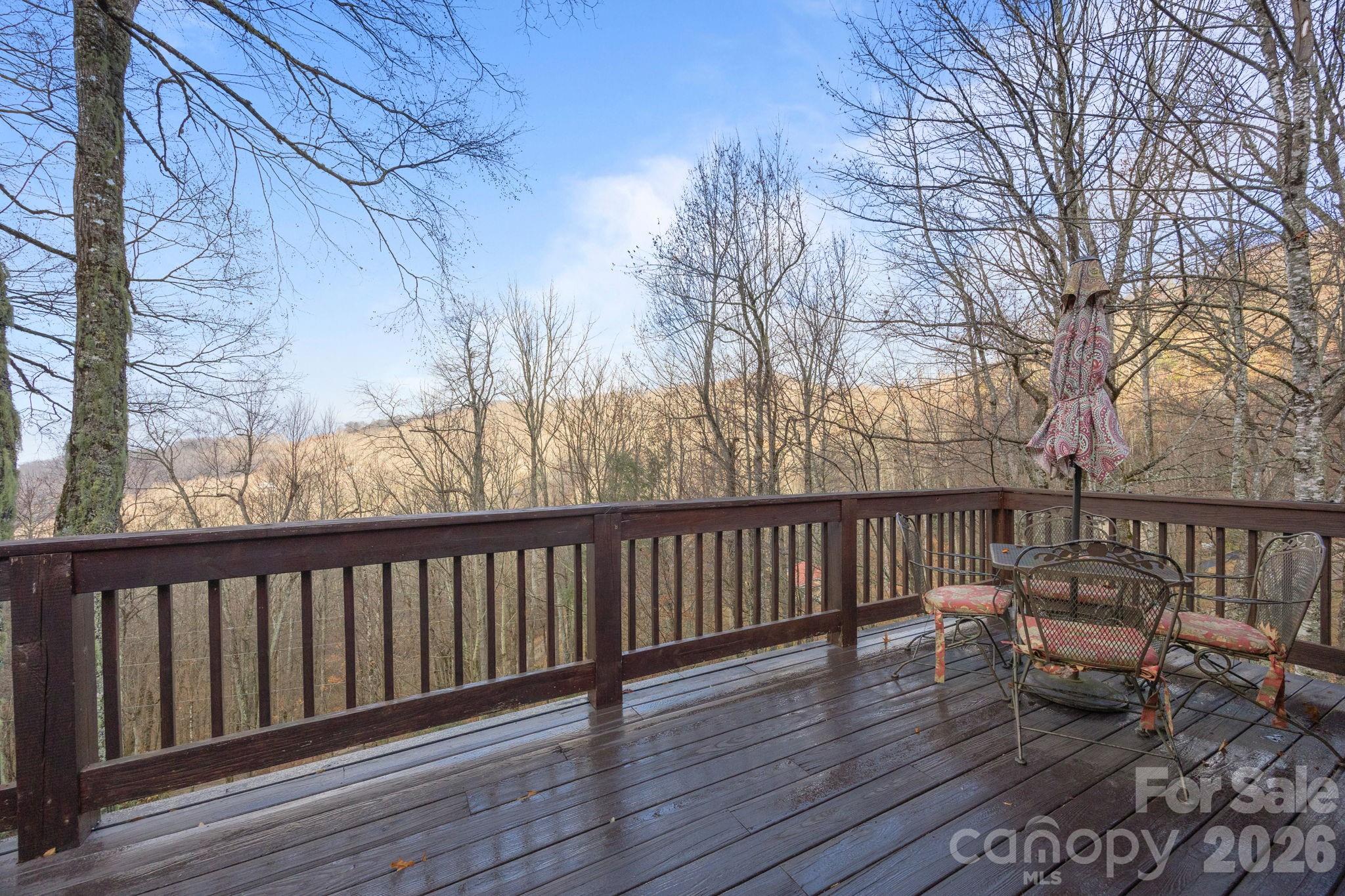 959 Plott Balsam Road — Maggie Valley