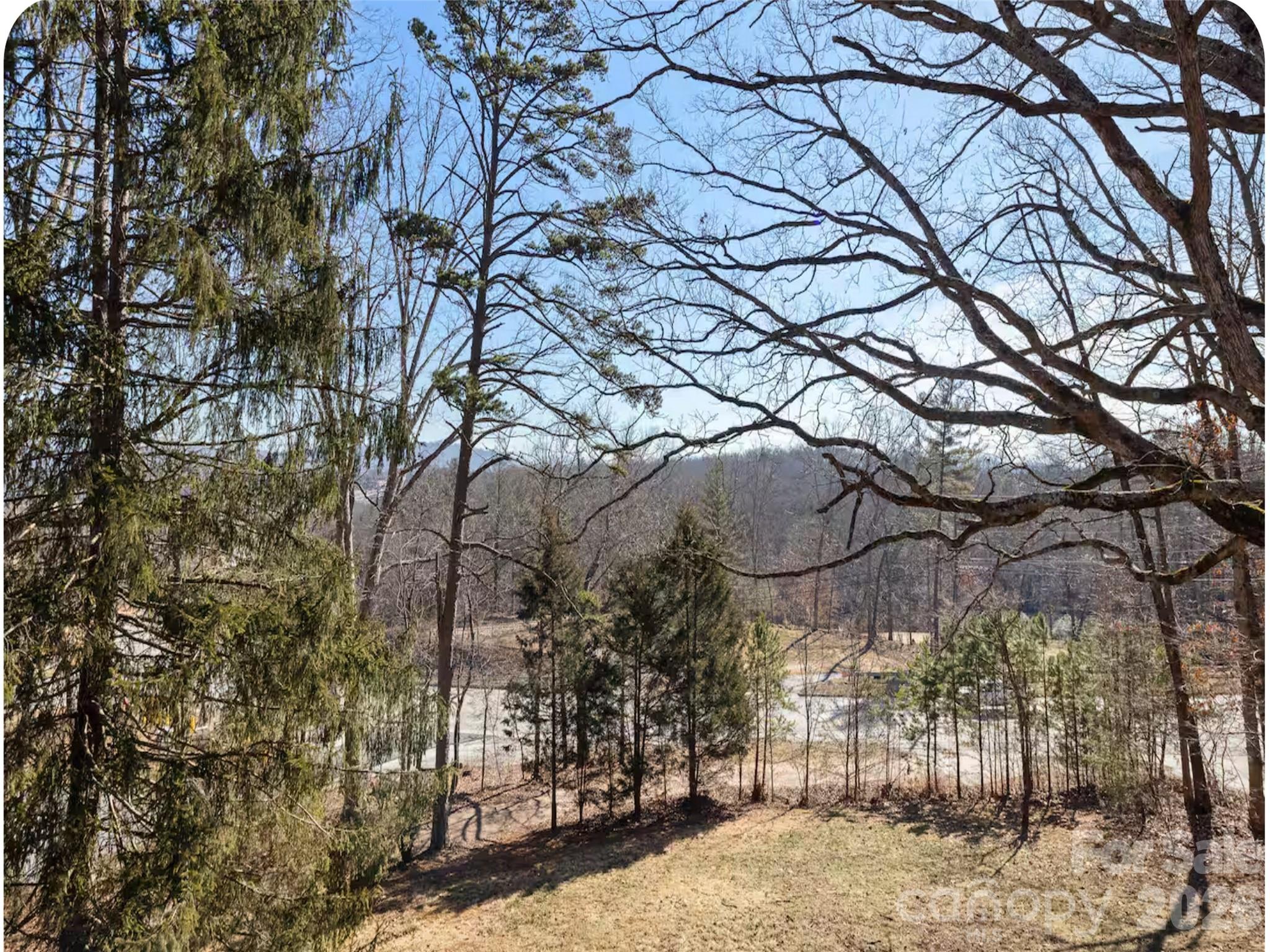 502 Long Shoals Road — Arden