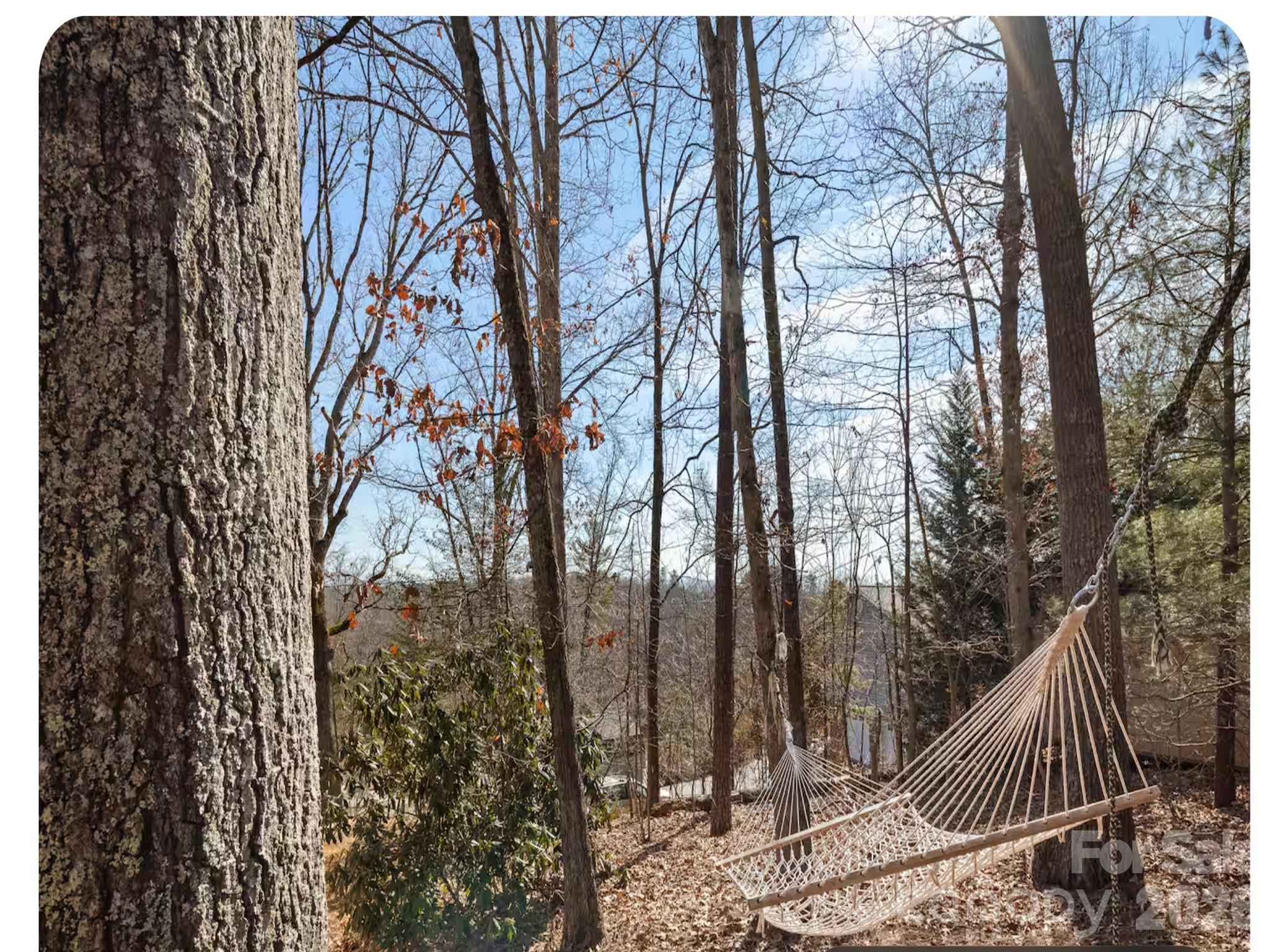 502 Long Shoals Road — Arden