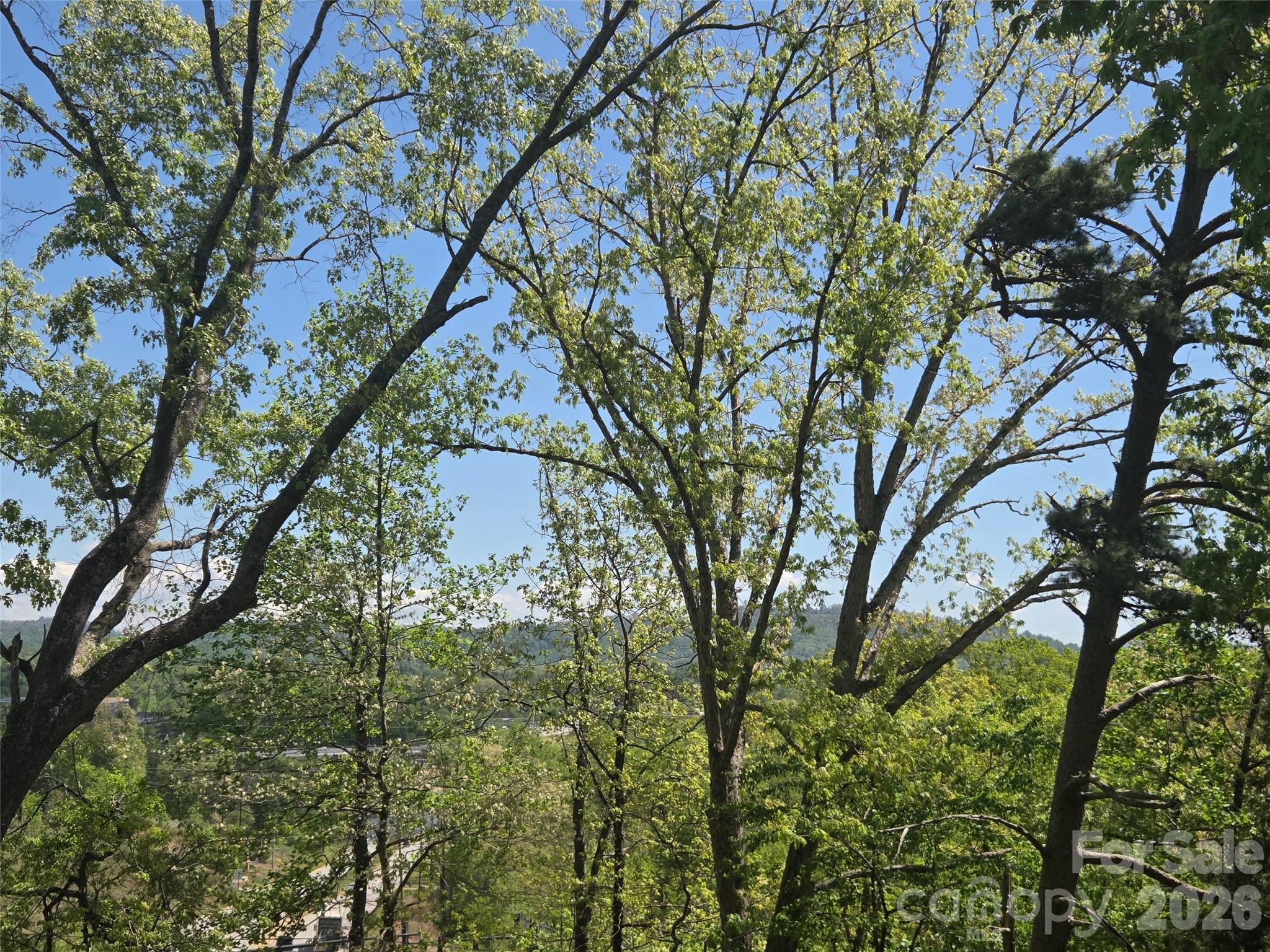 502 Long Shoals Road — Arden