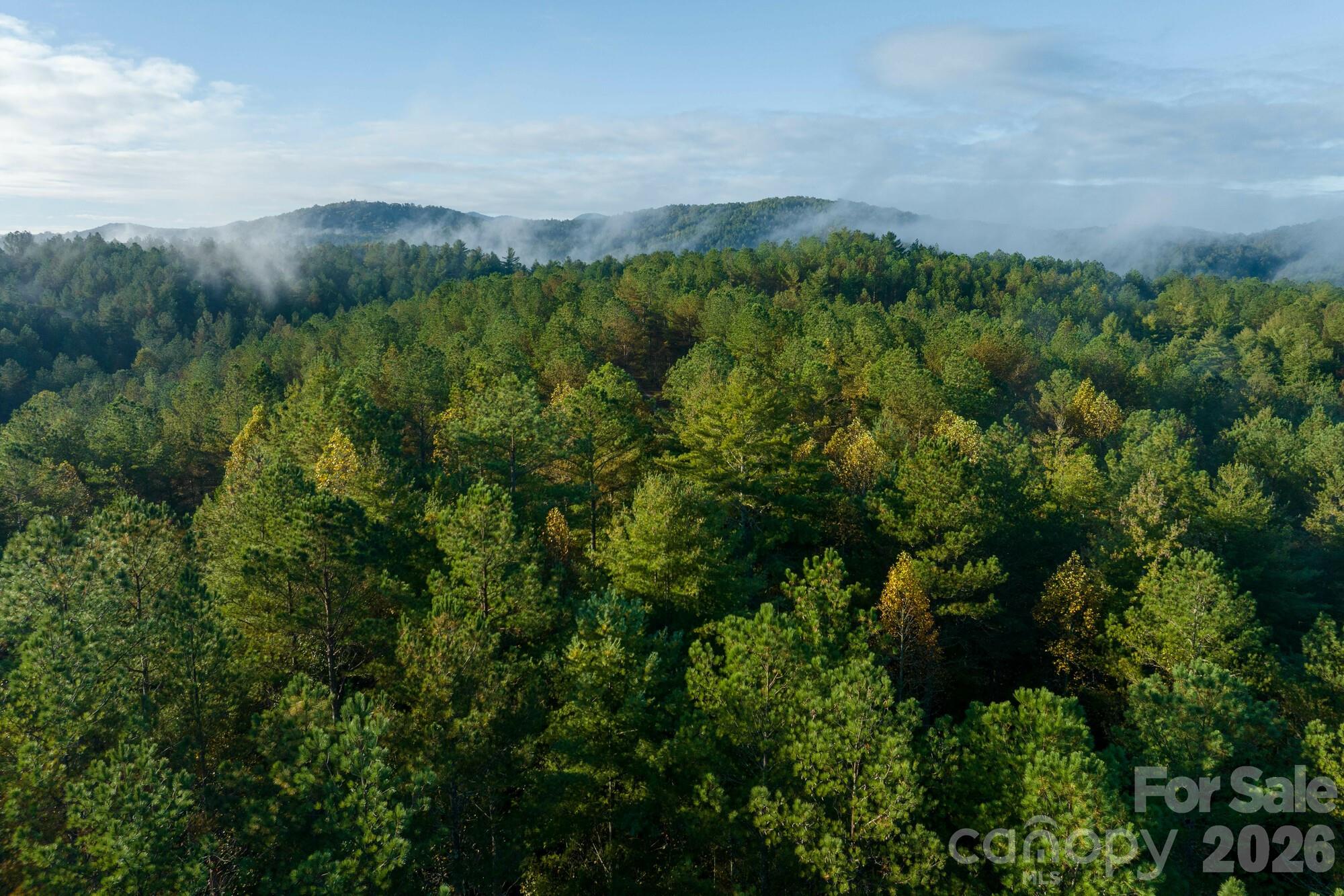 2108 River Hill Road — Murphy
