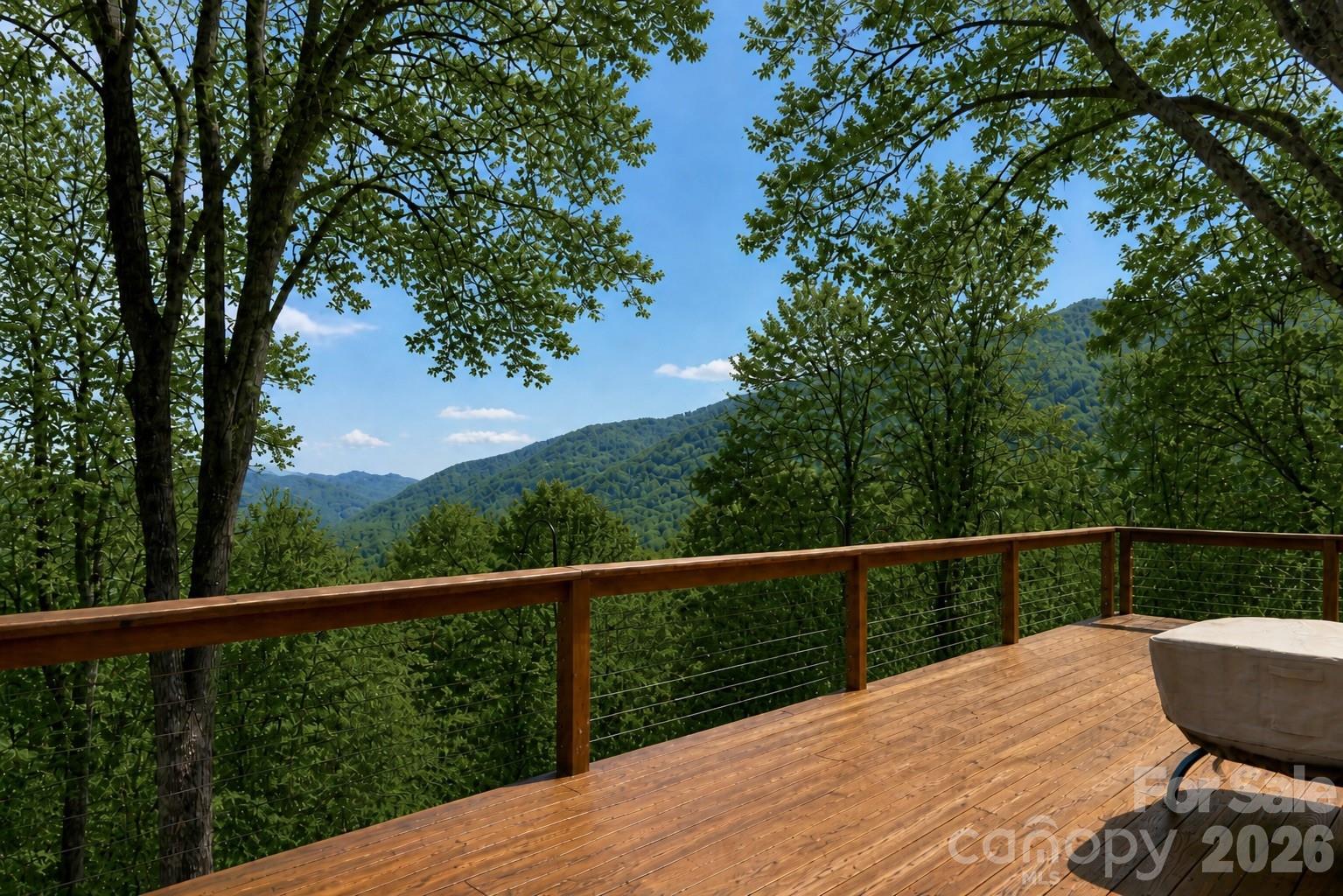 208 Buckeye Road — Maggie Valley