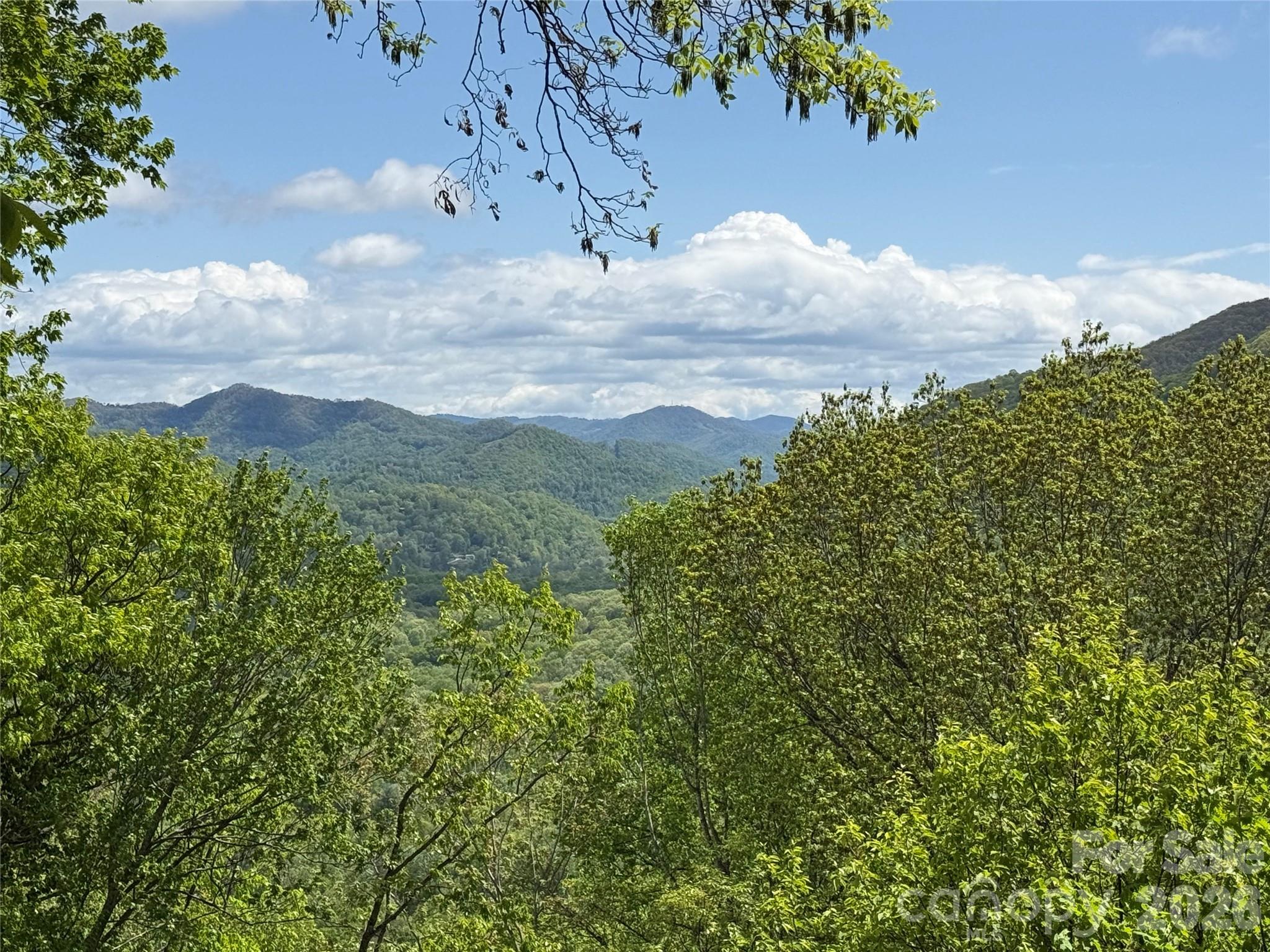 208 Buckeye Road — Maggie Valley
