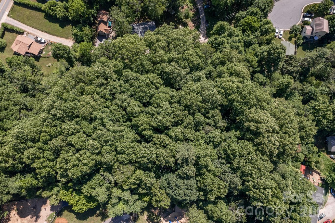 17 Chicago Avenue — Black Mountain