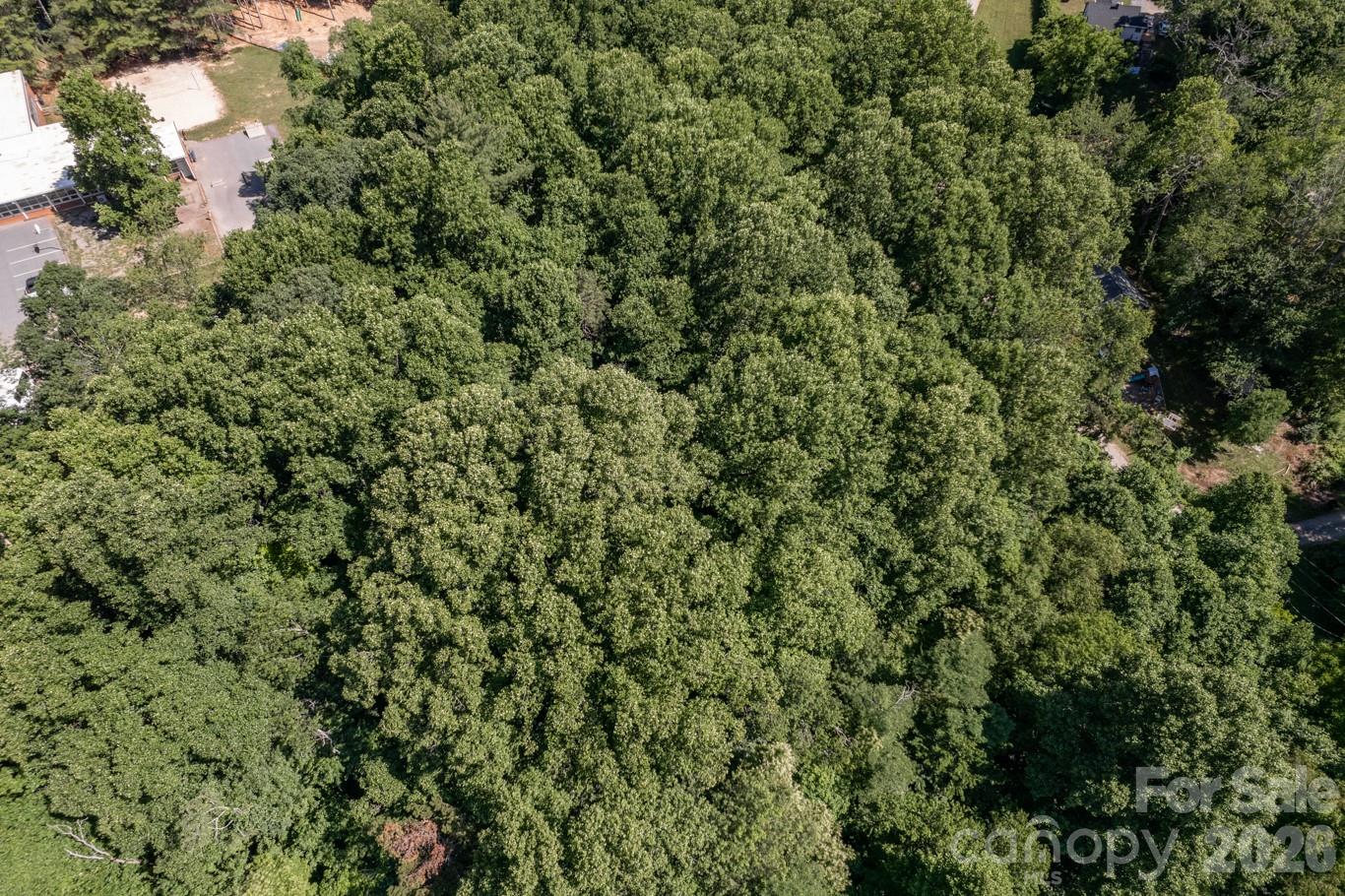 17 Chicago Avenue — Black Mountain