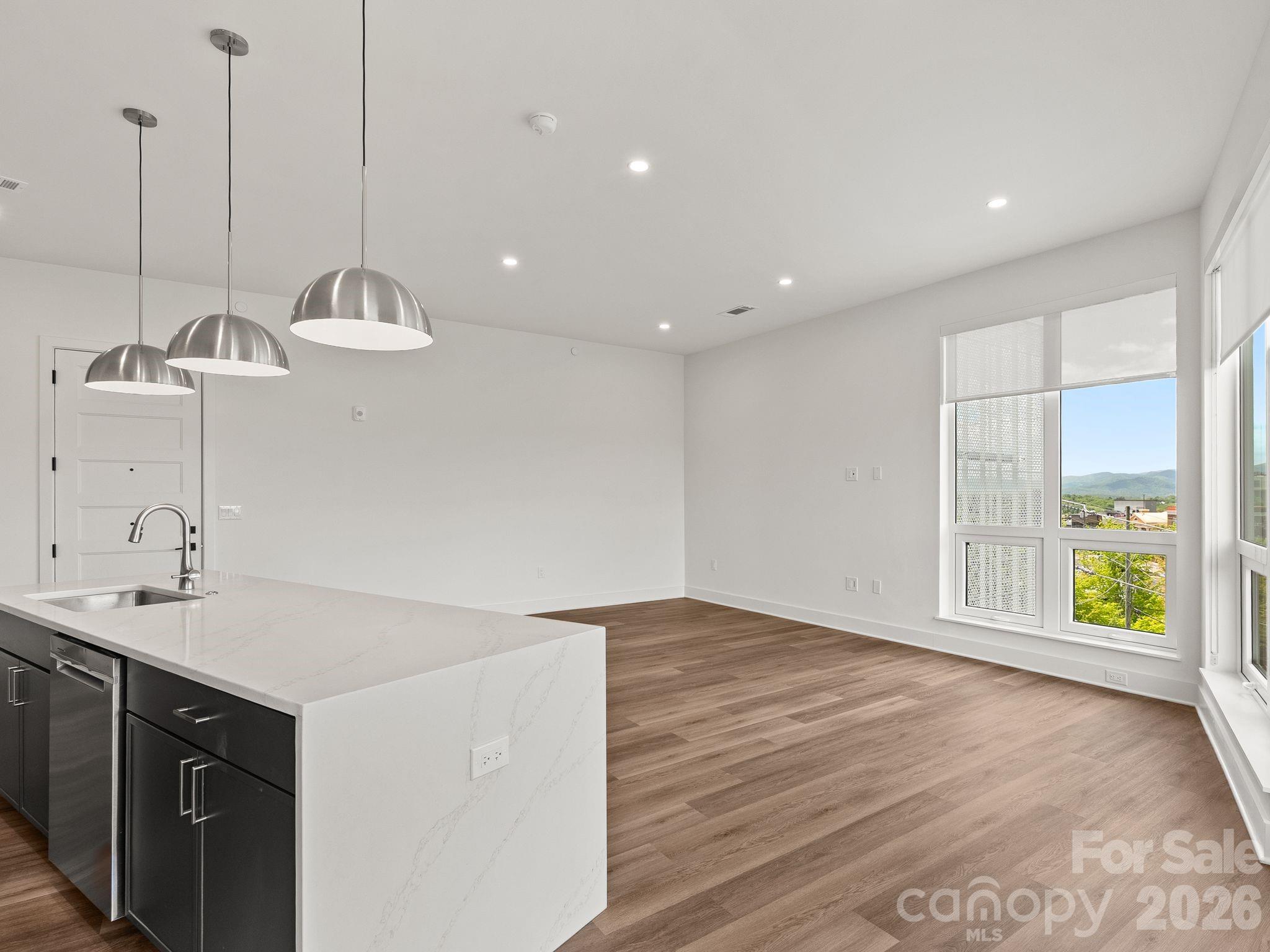 123 Haywood Street #401 — Asheville