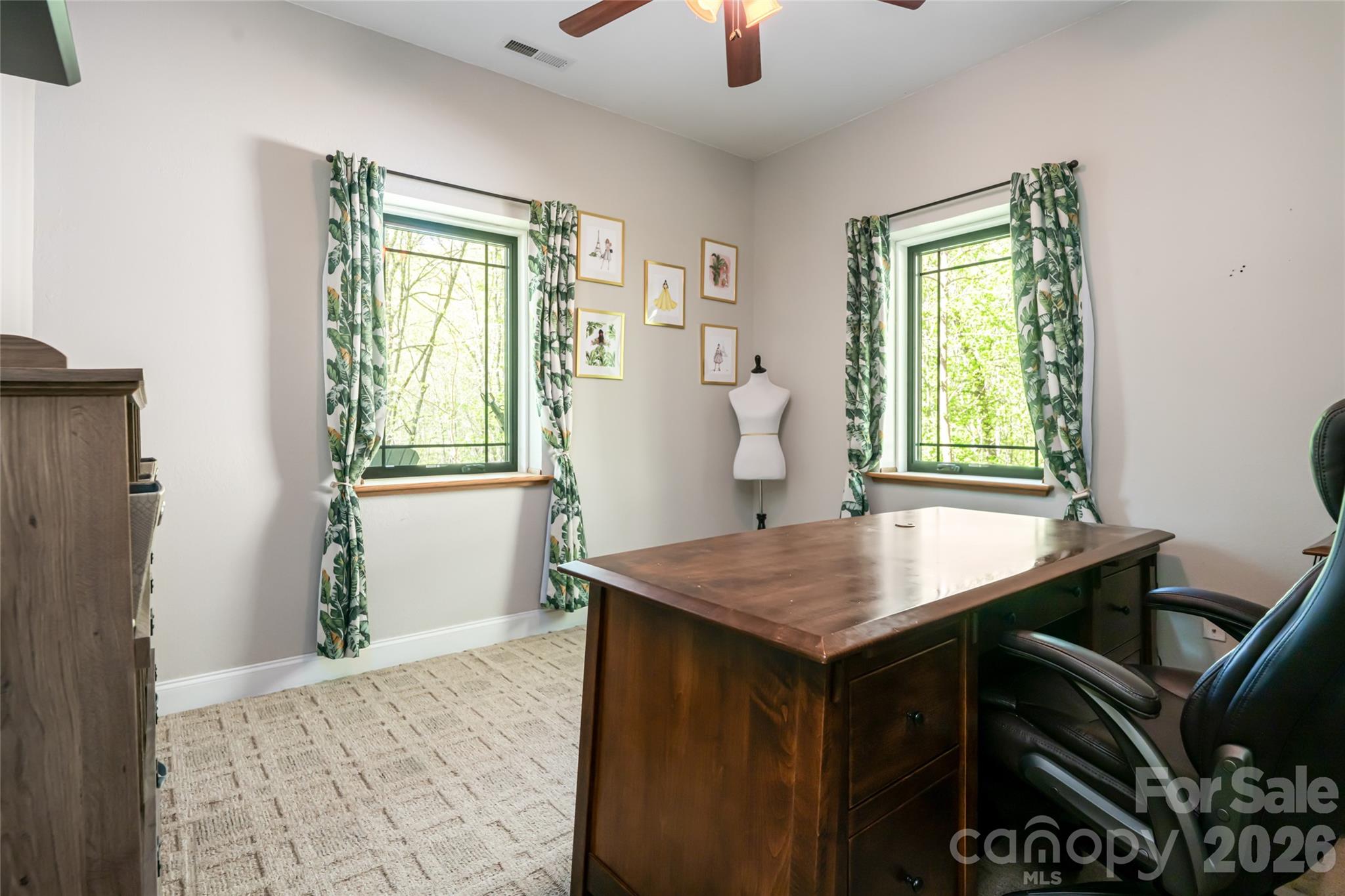 36 Snowshoe Drive — Asheville