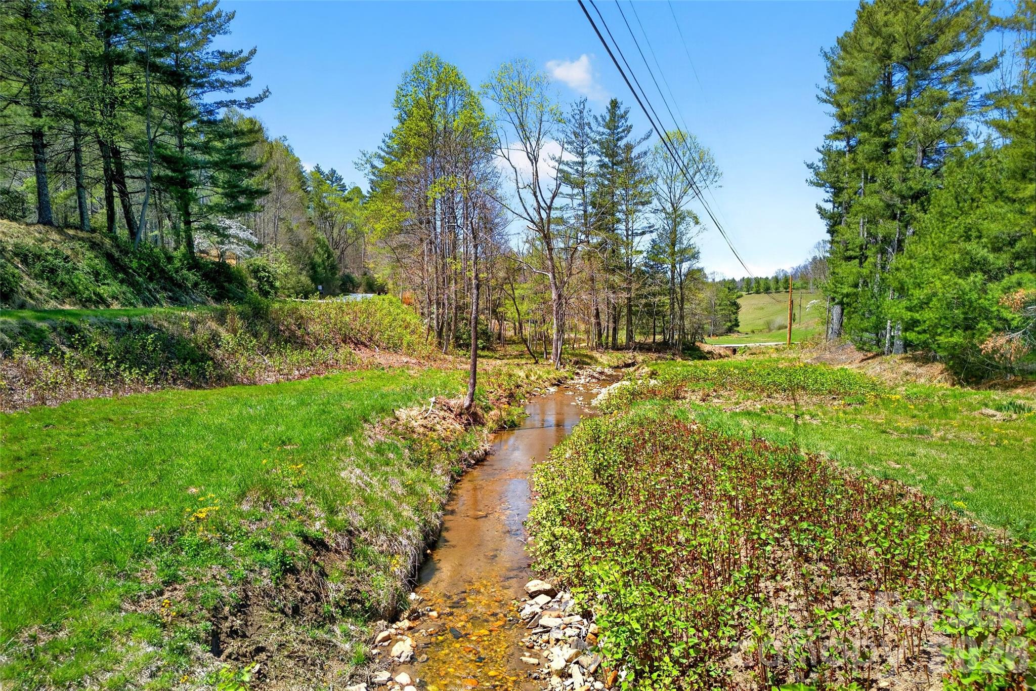 1959 Jackson Town Road — Spruce Pine