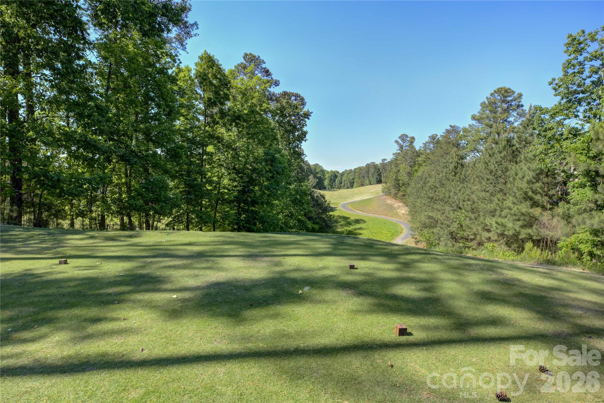 15512 Aviary Orchard Way — Charlotte