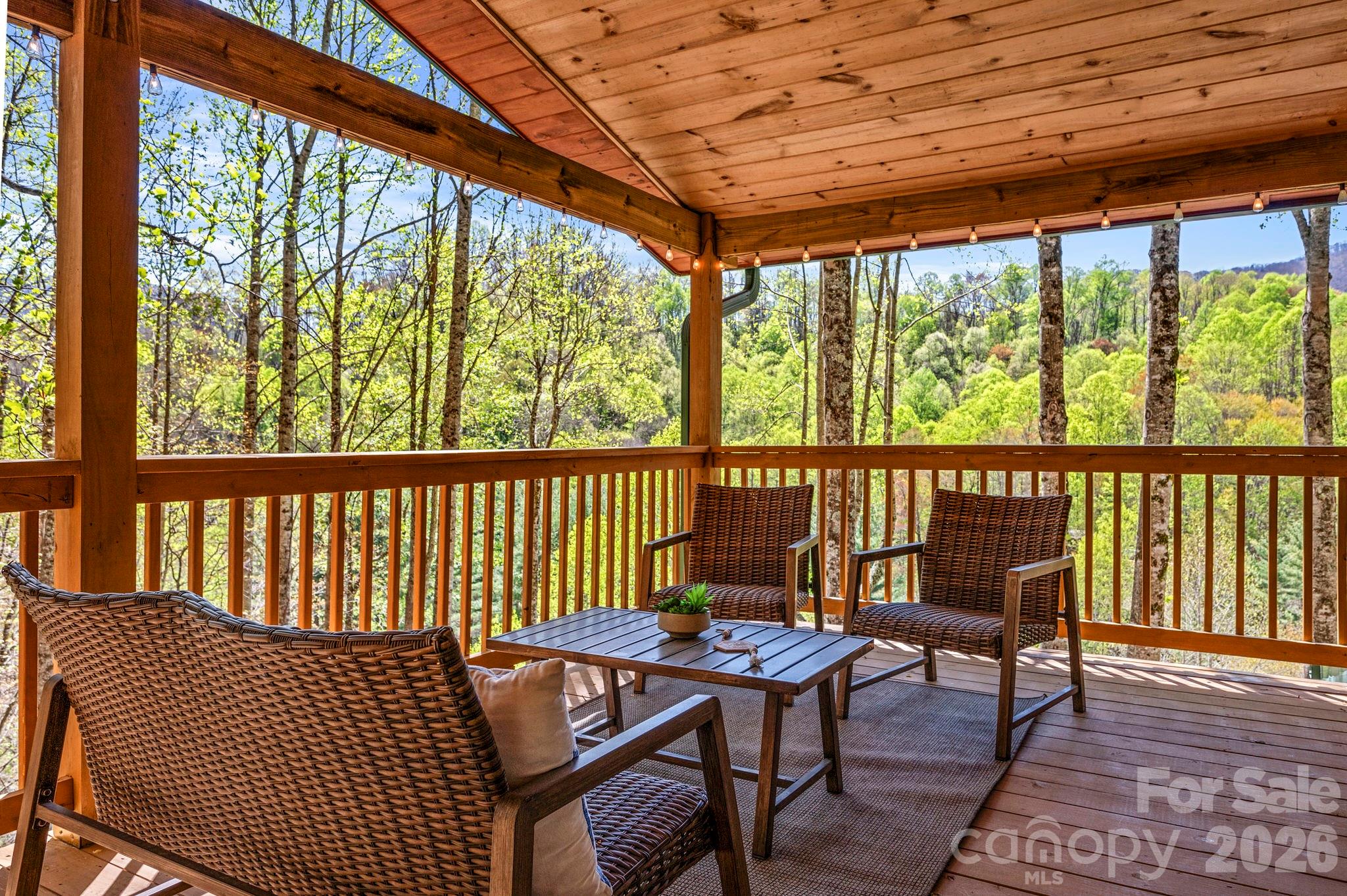 100 Split Rail Drive — Maggie Valley