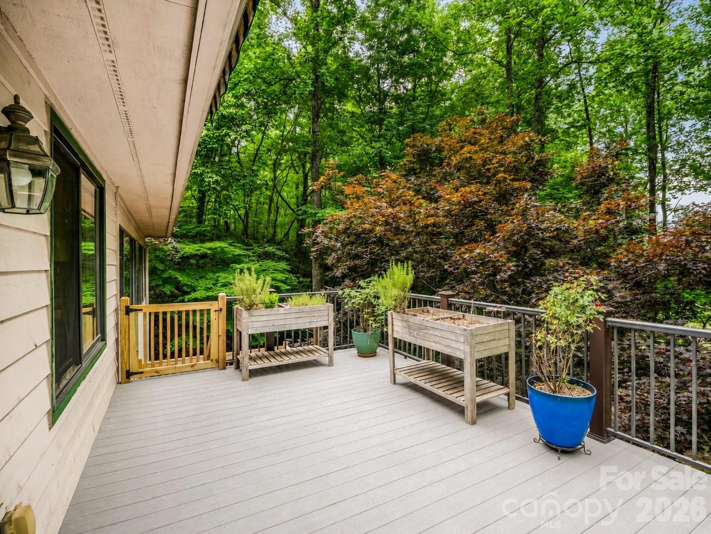 425 Winesap Boulevard — Lake Lure