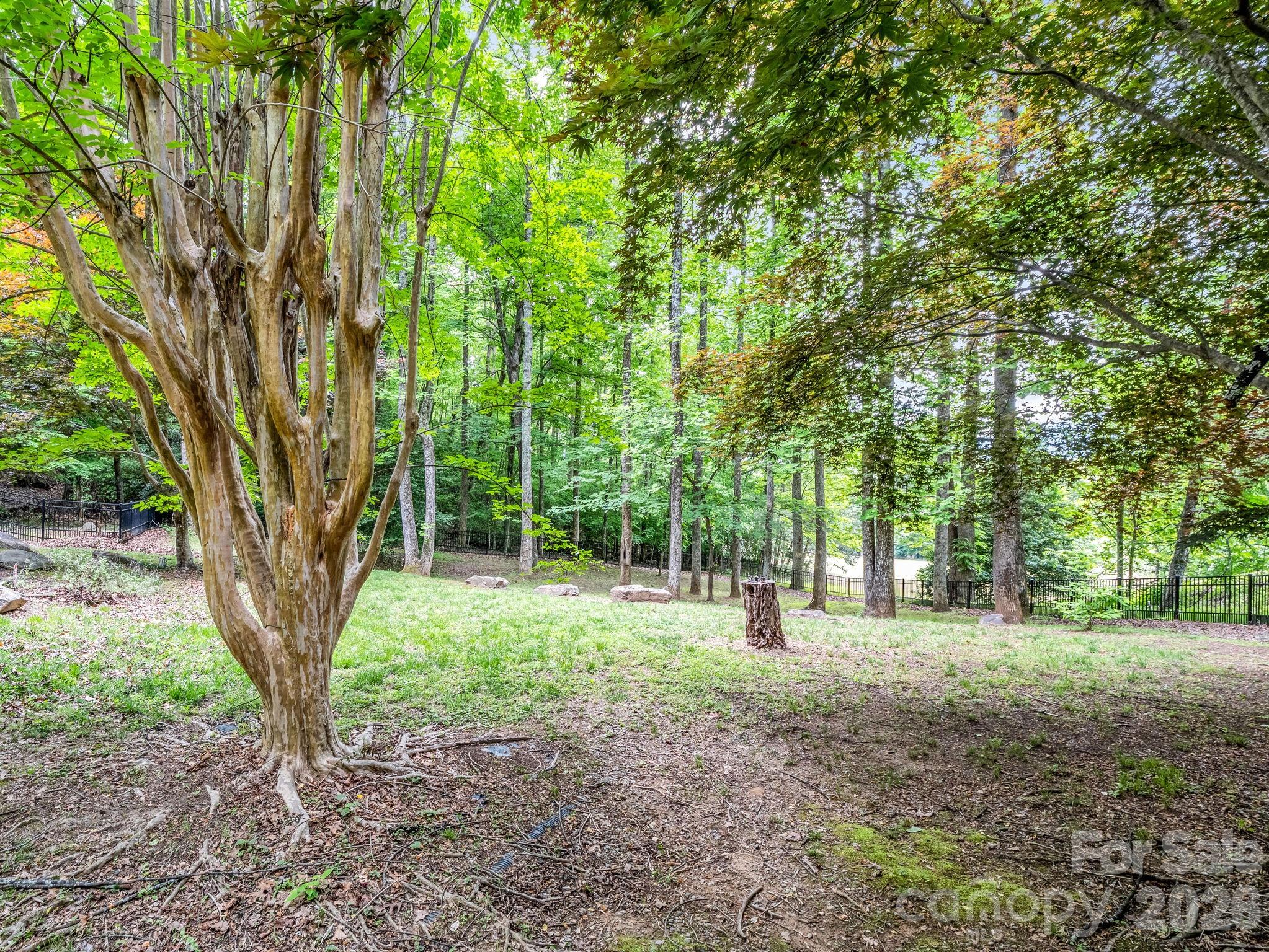 425 Winesap Boulevard — Lake Lure