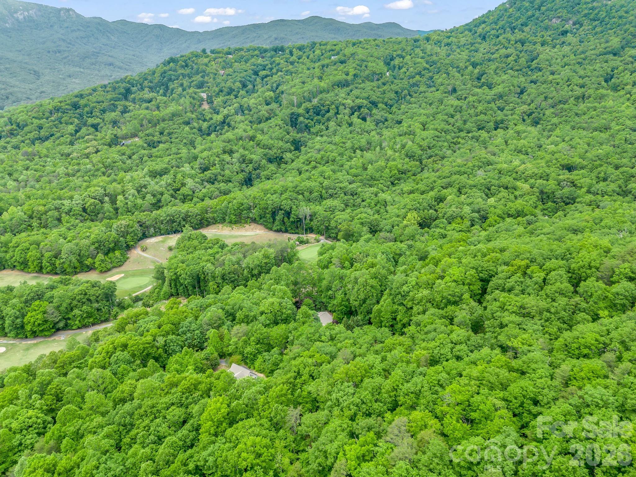 425 Winesap Boulevard — Lake Lure